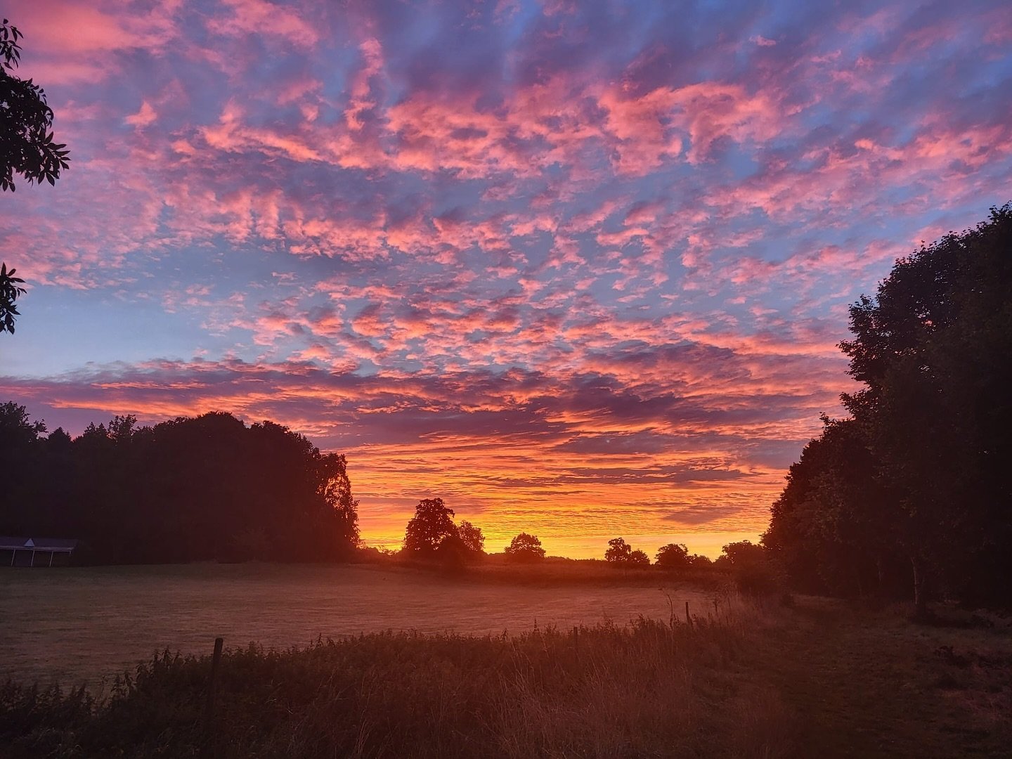 &ldquo;It is important to stay close enough to the pulse of life to feel its rhythm. To be comforted by its steadiness, to know that life is vital, and one&rsquo;s own minute living a torn fragment of the larger cloth.&rdquo; - Marjorie Kinnan Rawlin