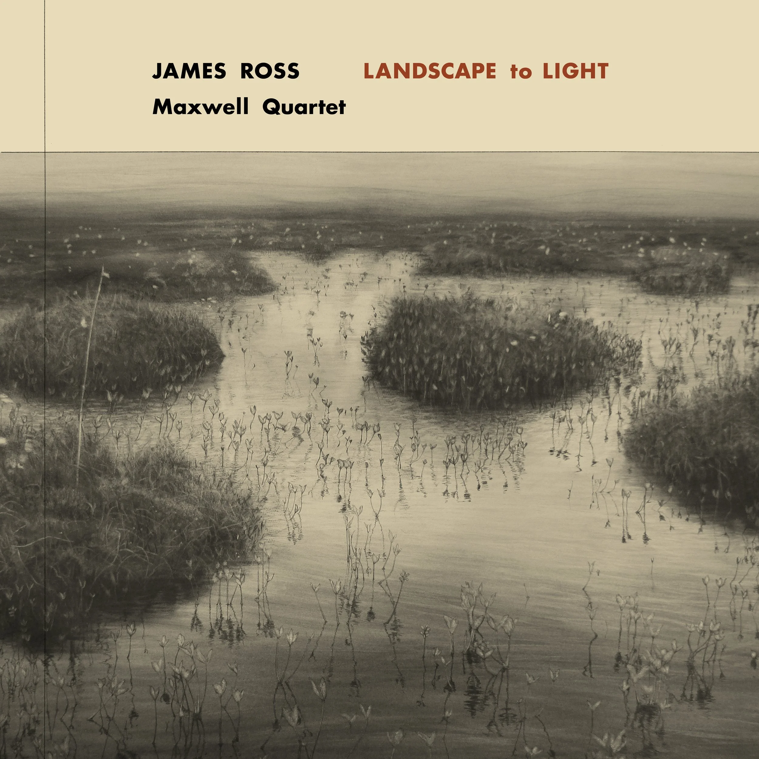 Episode #4: JAMES ROSS: LANDSCAPE TO LIGHT