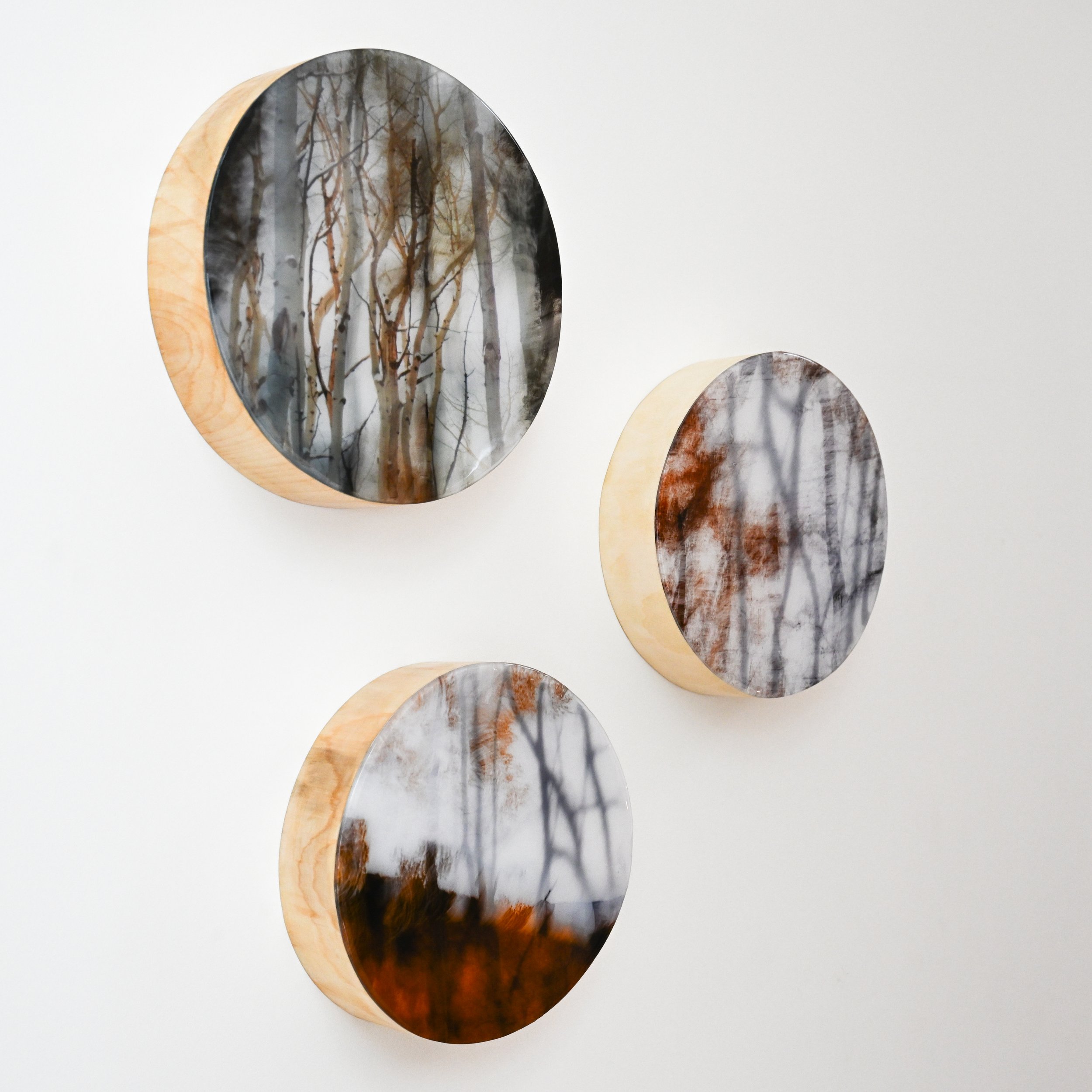 Shadow Play (2024) Aspen wood, photography, resin - SOLD