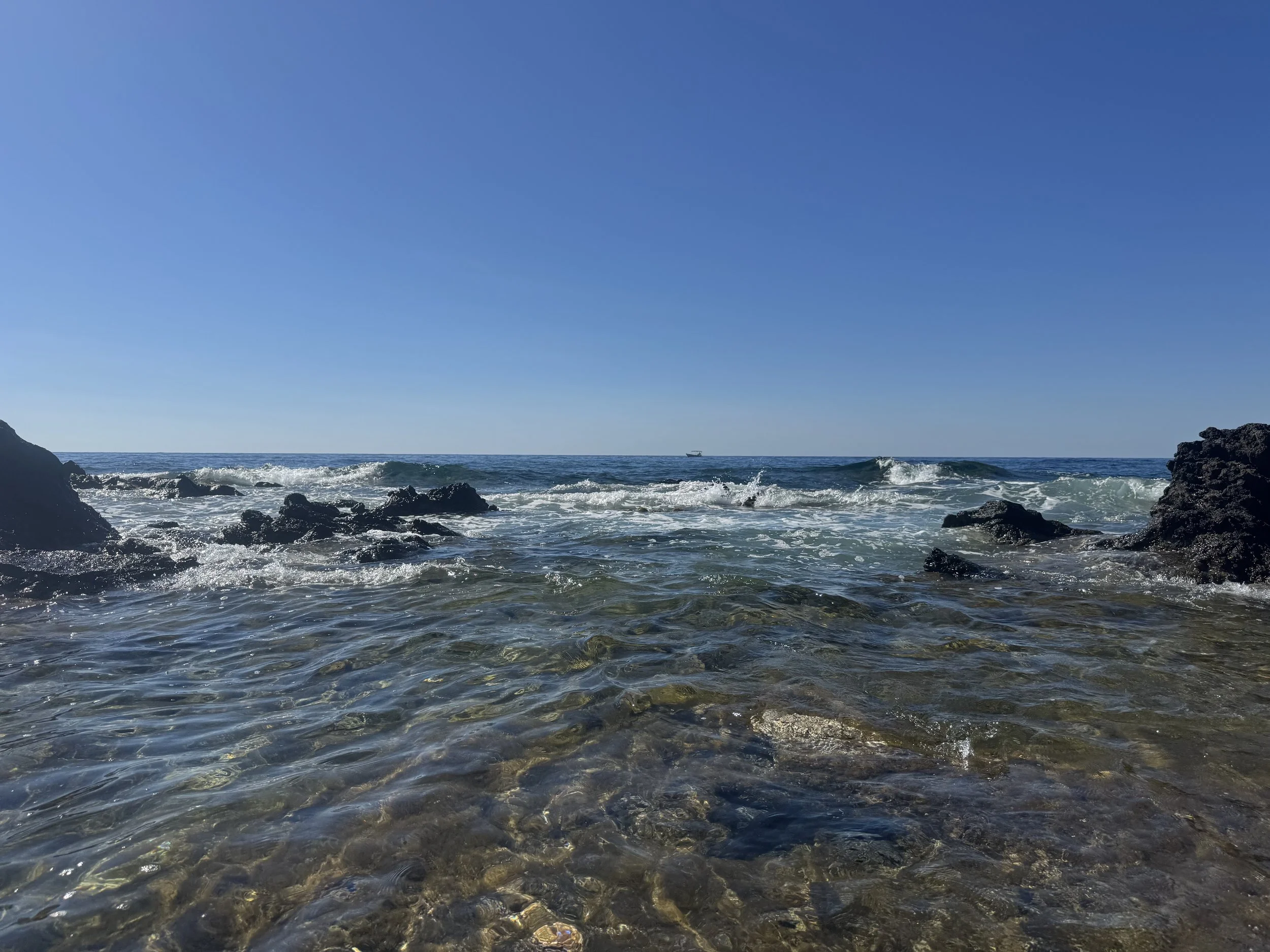 IMG_6759.jpeg