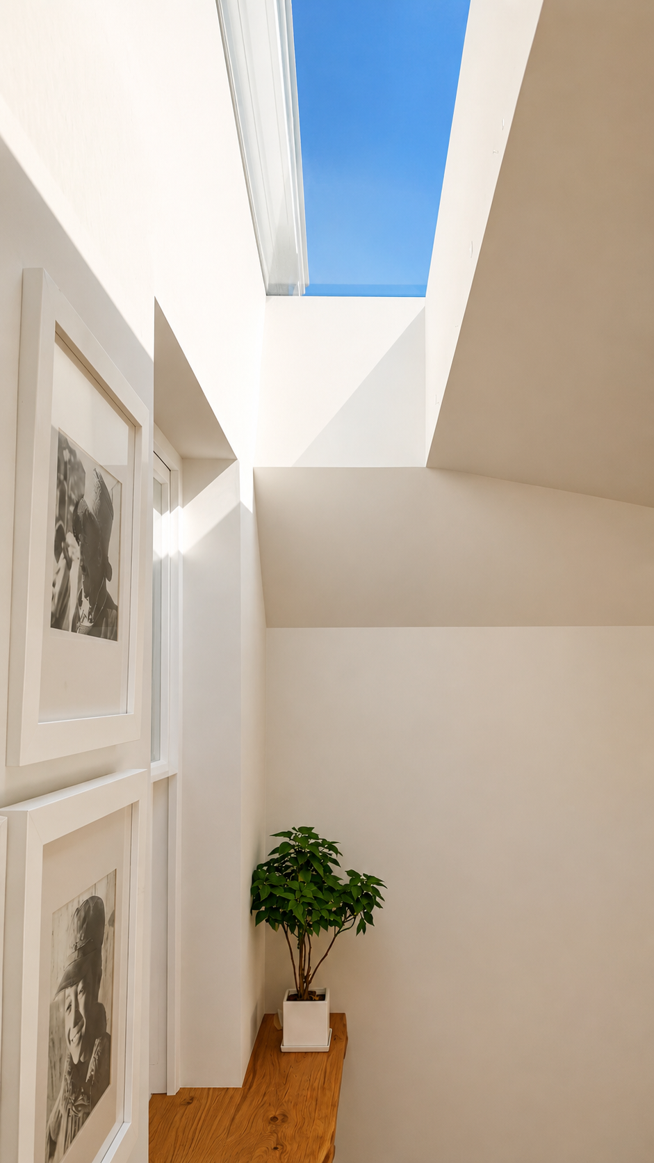 College Lawn - Skylight.png