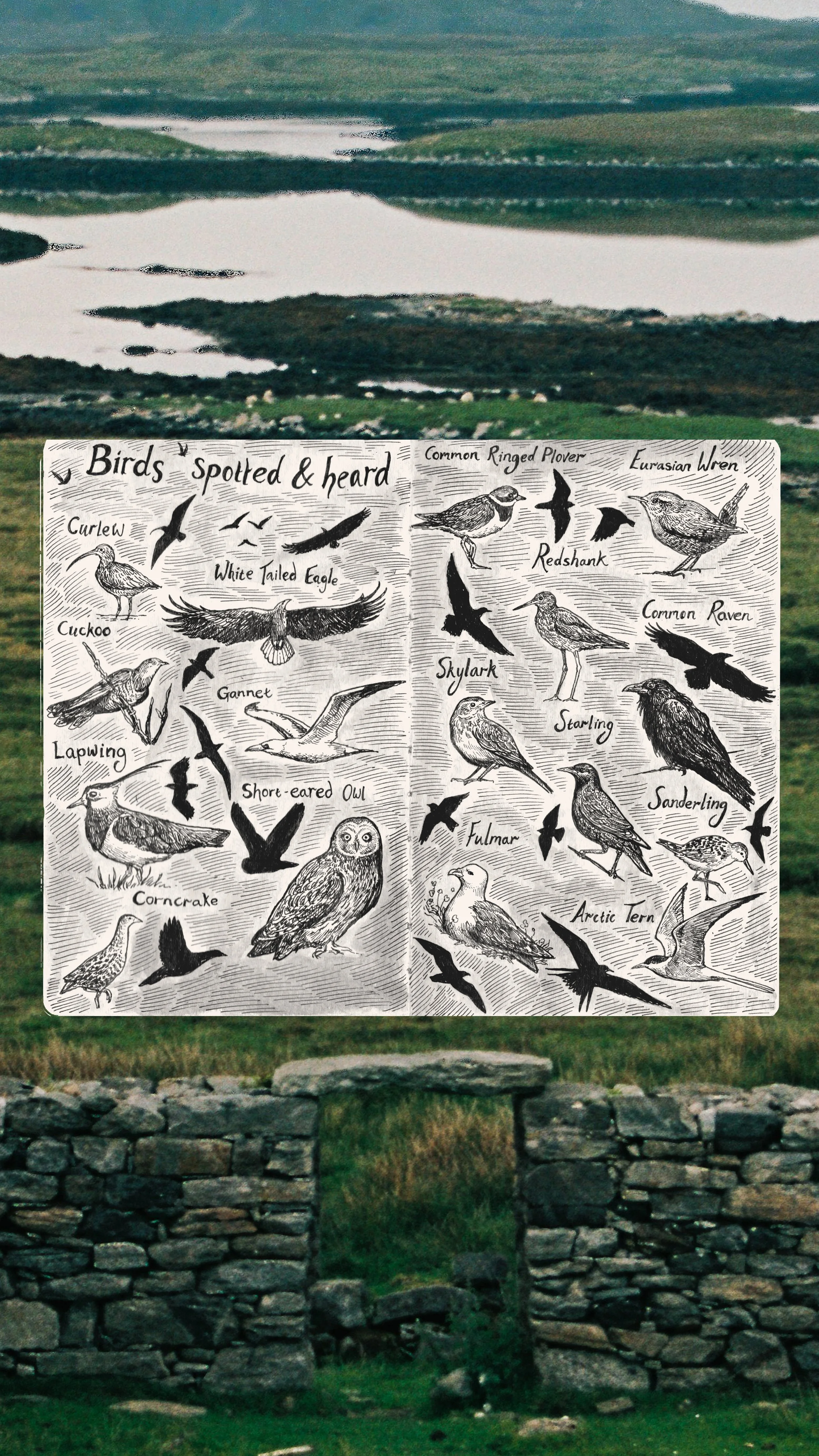 Hebridean Way Video 3.jpg