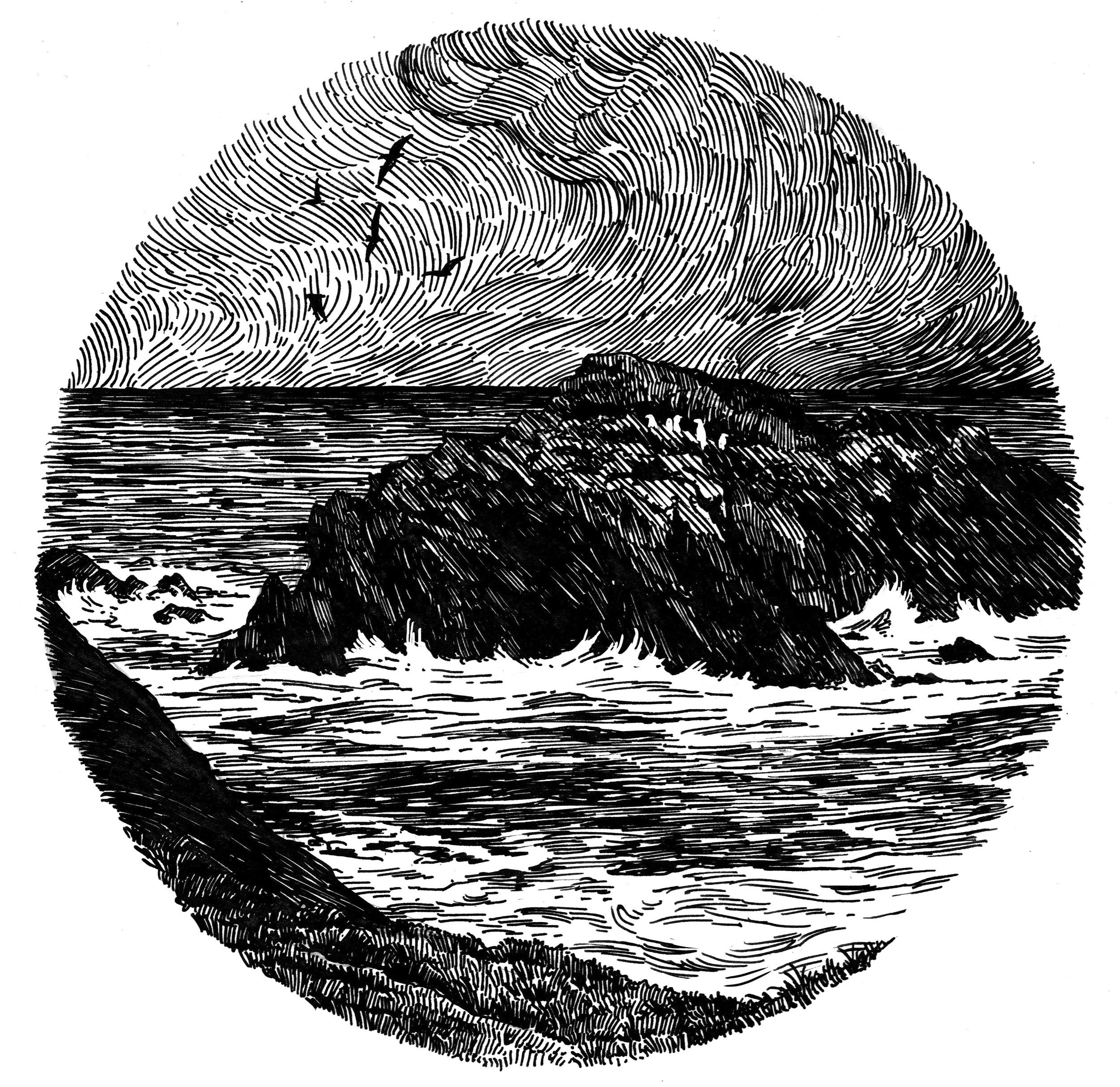Muir copy.jpg