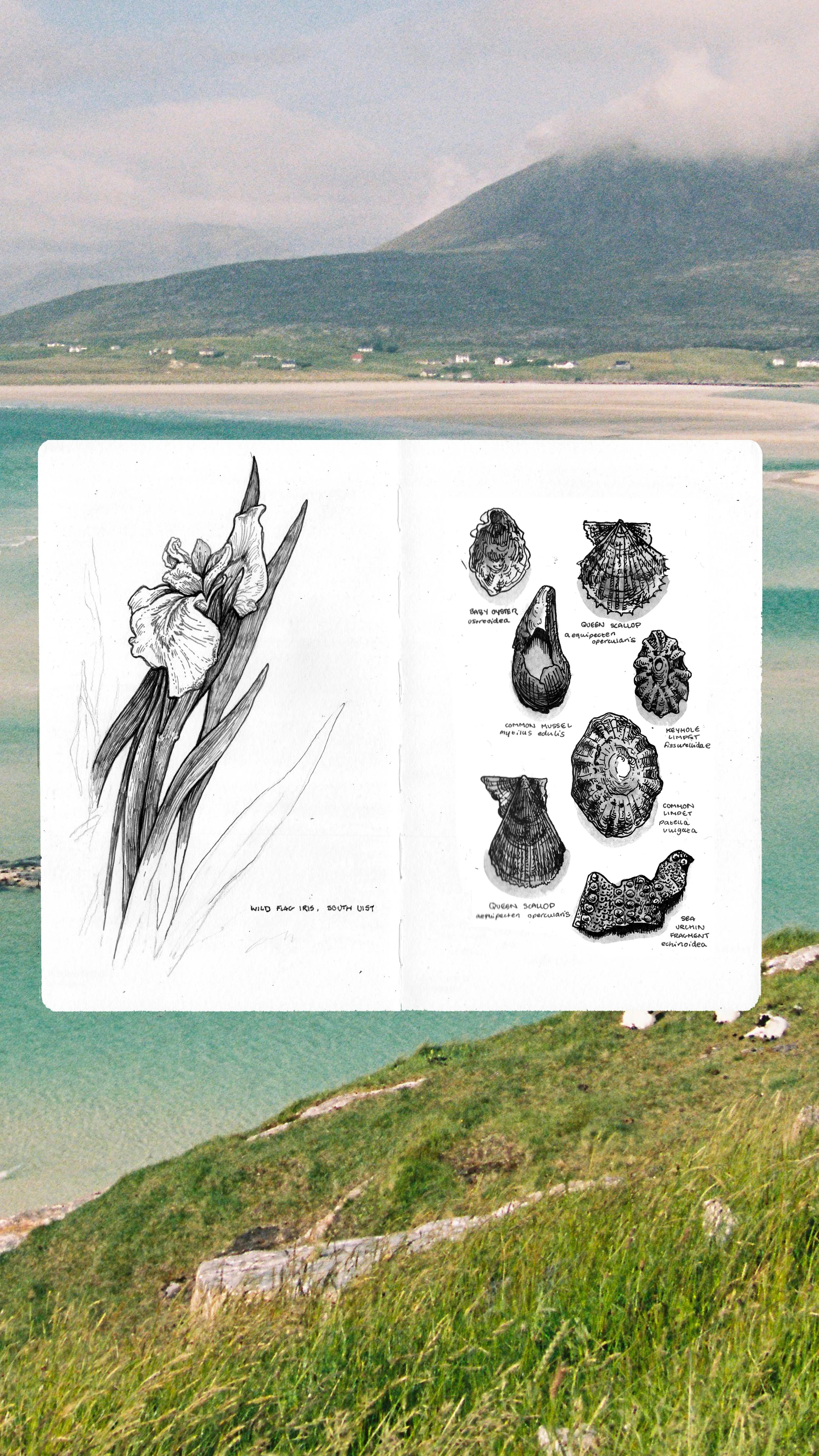 Hebridean Way Video 8.jpg