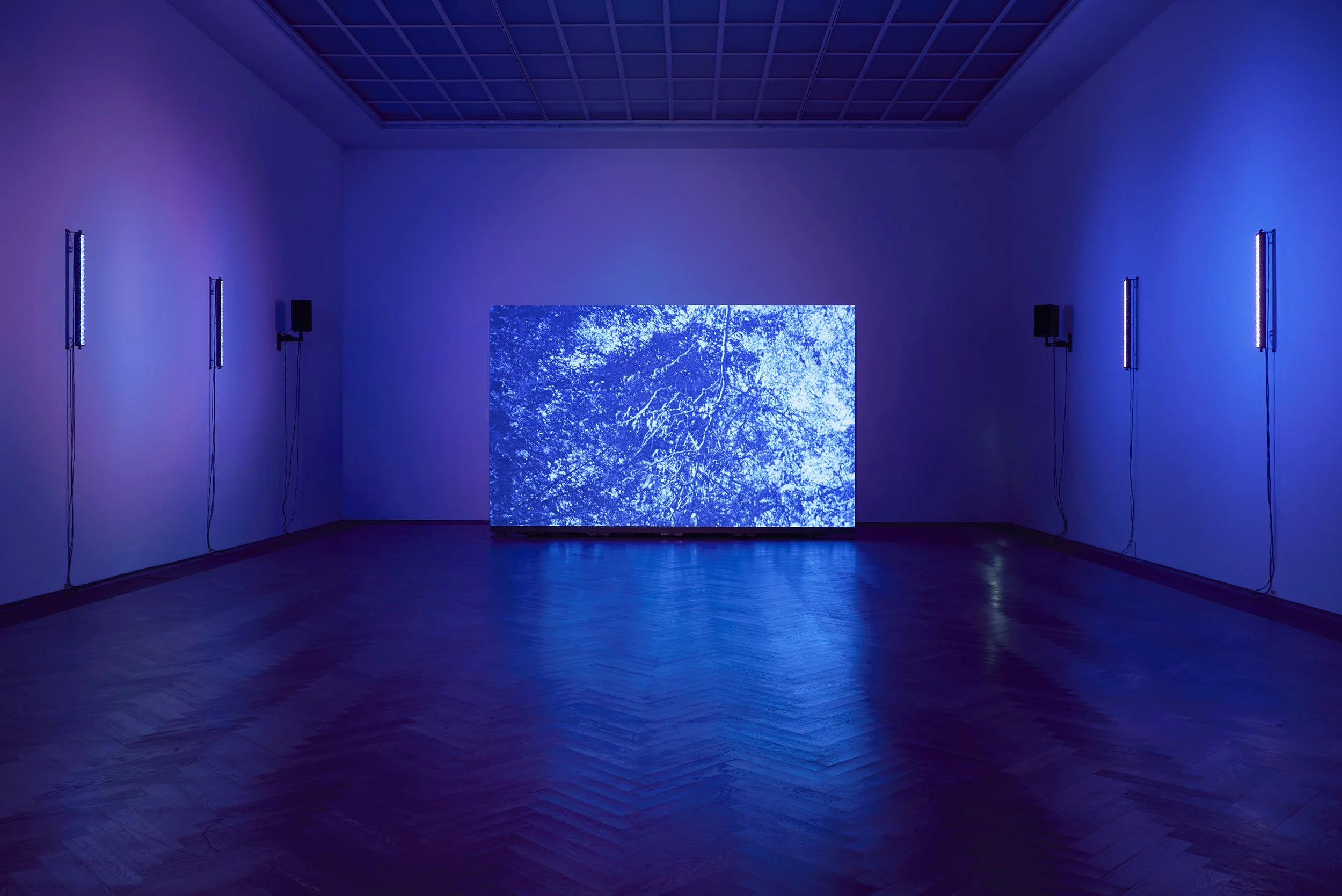 P.Staff_KunsthalleBasel_2023_14.jpg