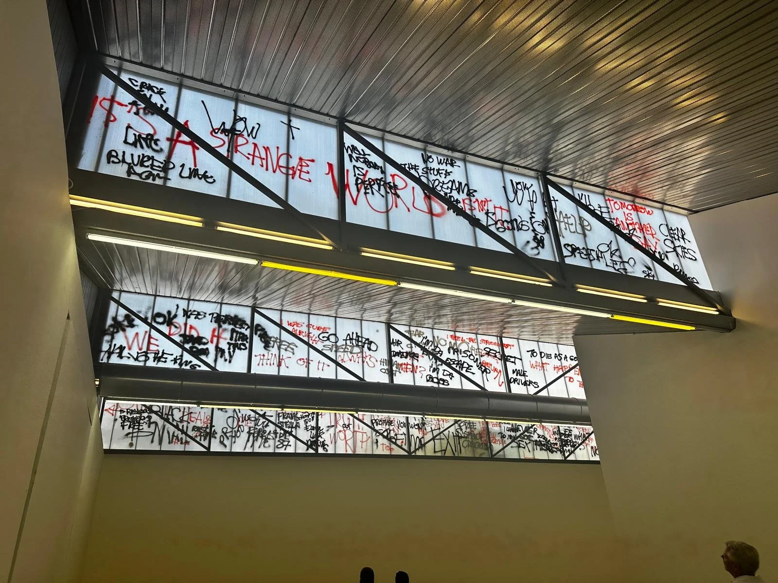 WhatsApp Image 2024-08-27 at 20.25.26.jpeg