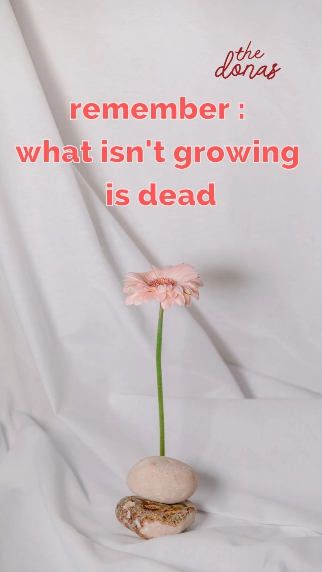 what isnts growingisdead.jpg