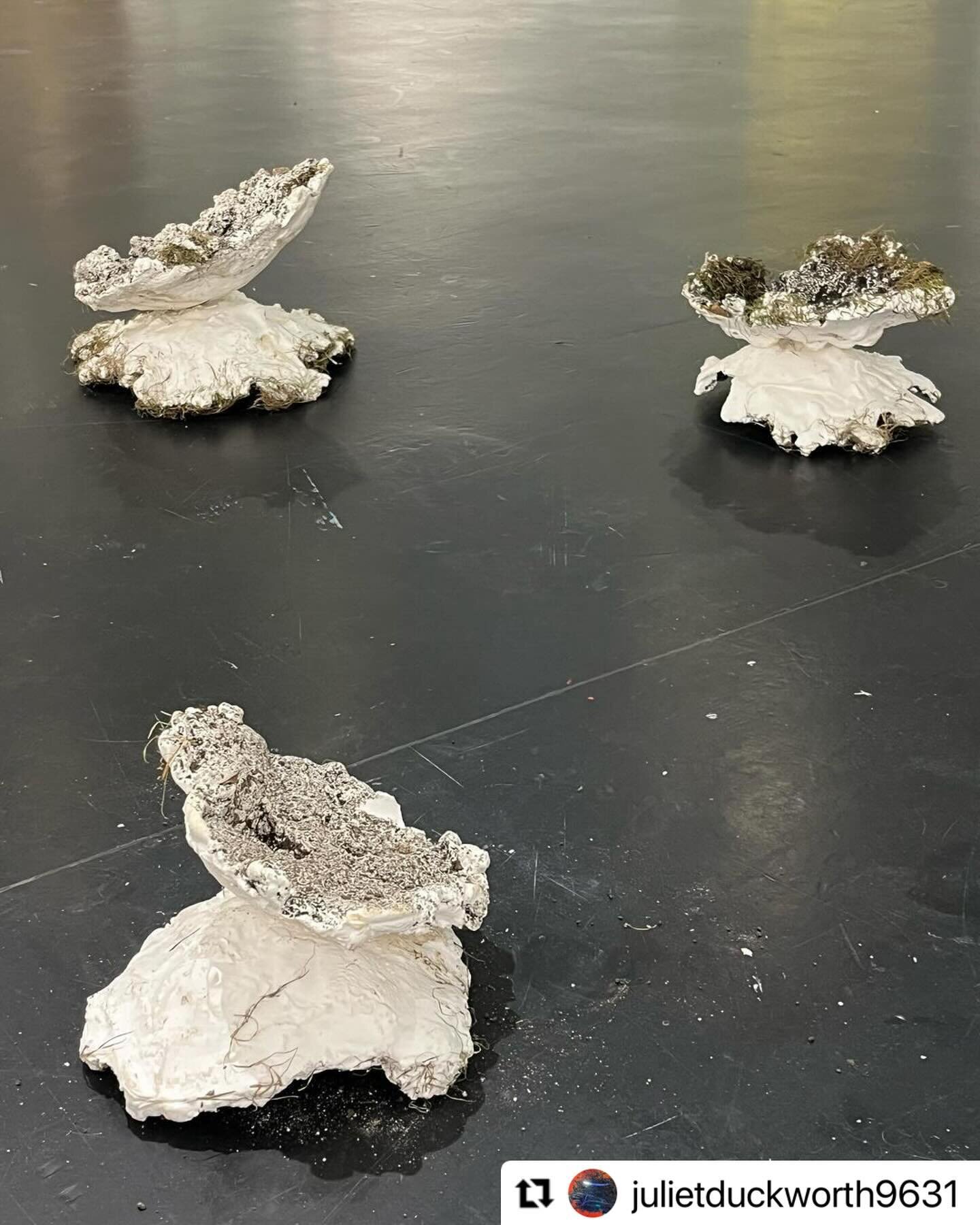 It&rsquo;s wonderful to see @julietduckworth9631&rsquo;s new work! 🤩 #Repost @julietduckworth9631 with @use.repost
・・・
Mole hill mounds. Cast in the place they erupted and emerging as temporary conical shapes of excavated soil. I&rsquo;m curious abo