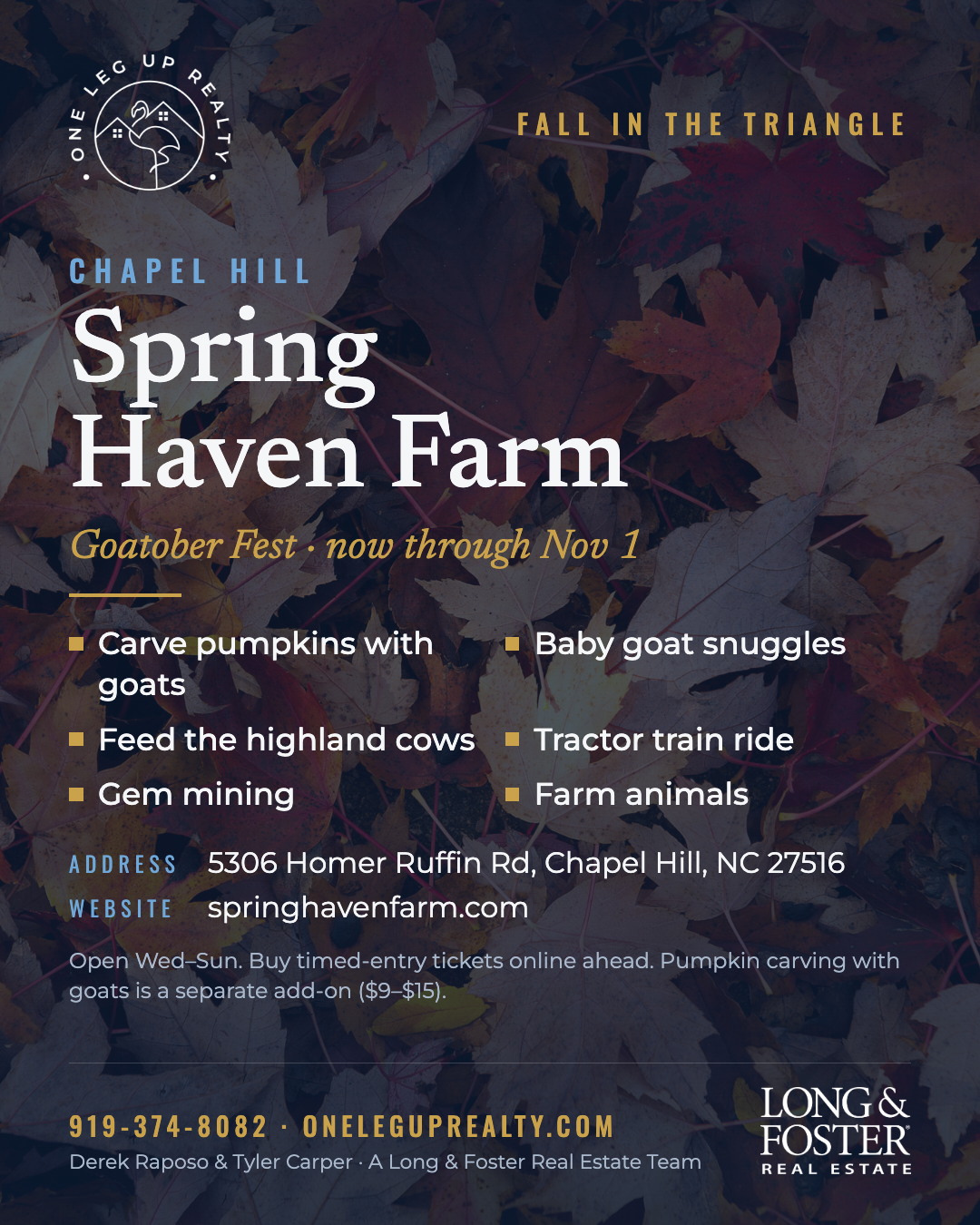 01-Spring-Haven-Farm.png