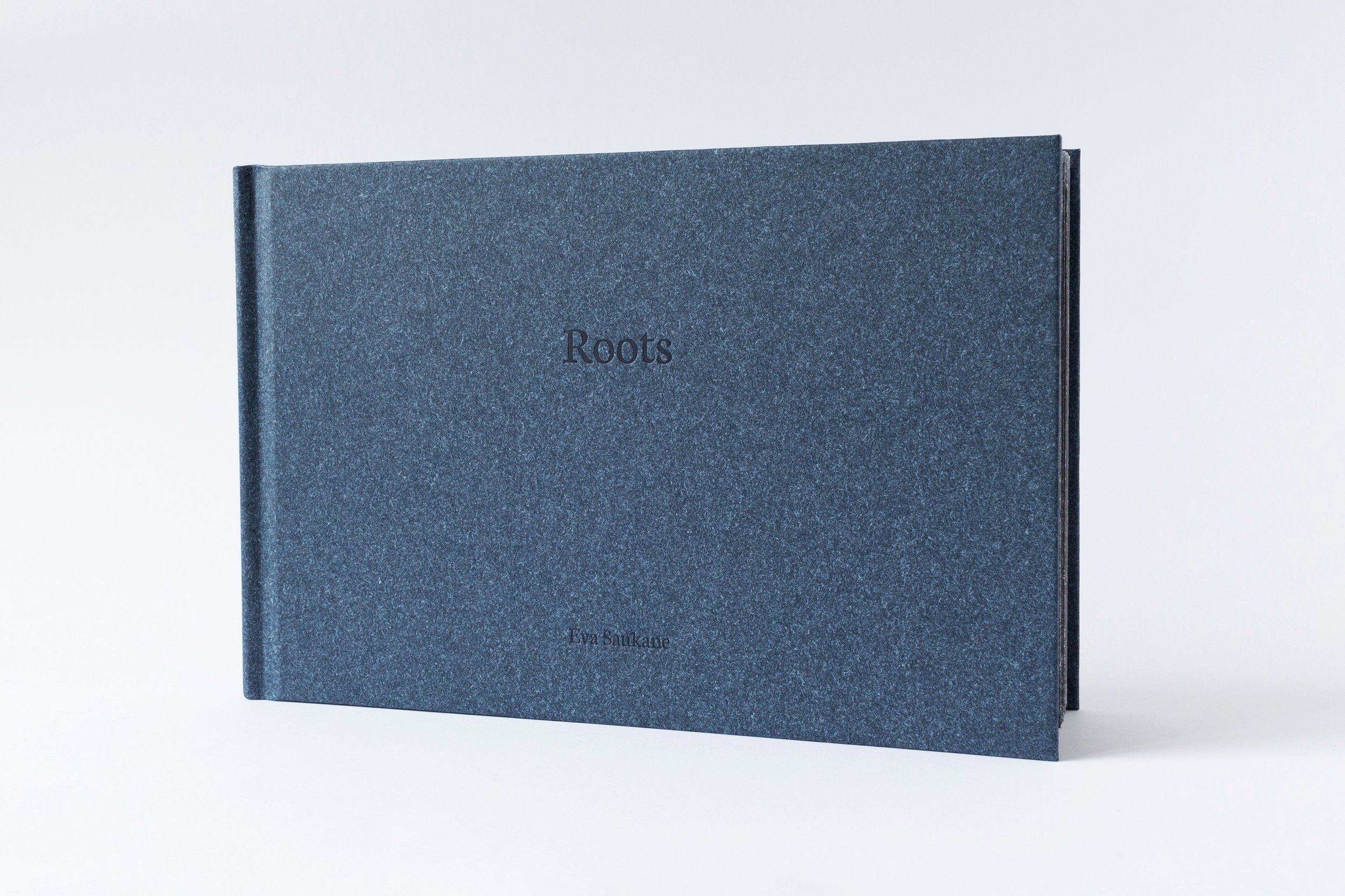 Roots7.jpg