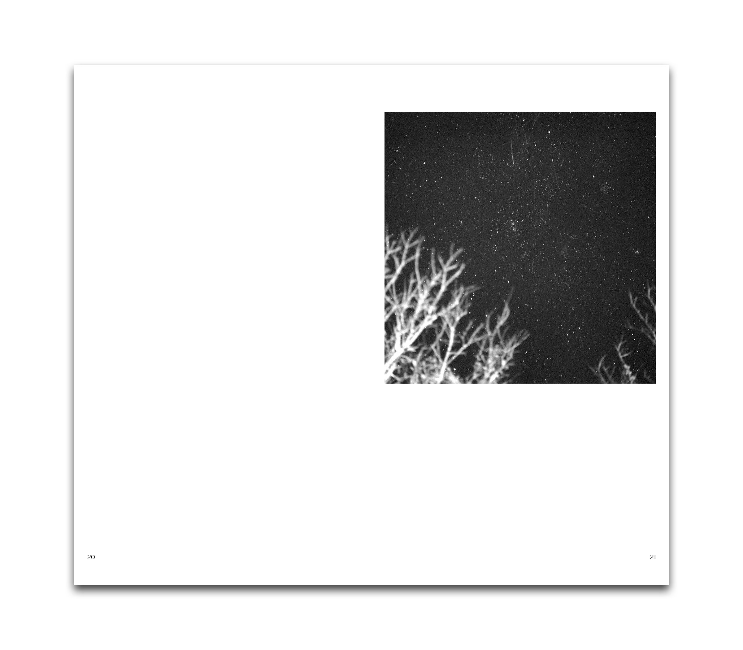 Ancient Light_Site_05.jpg