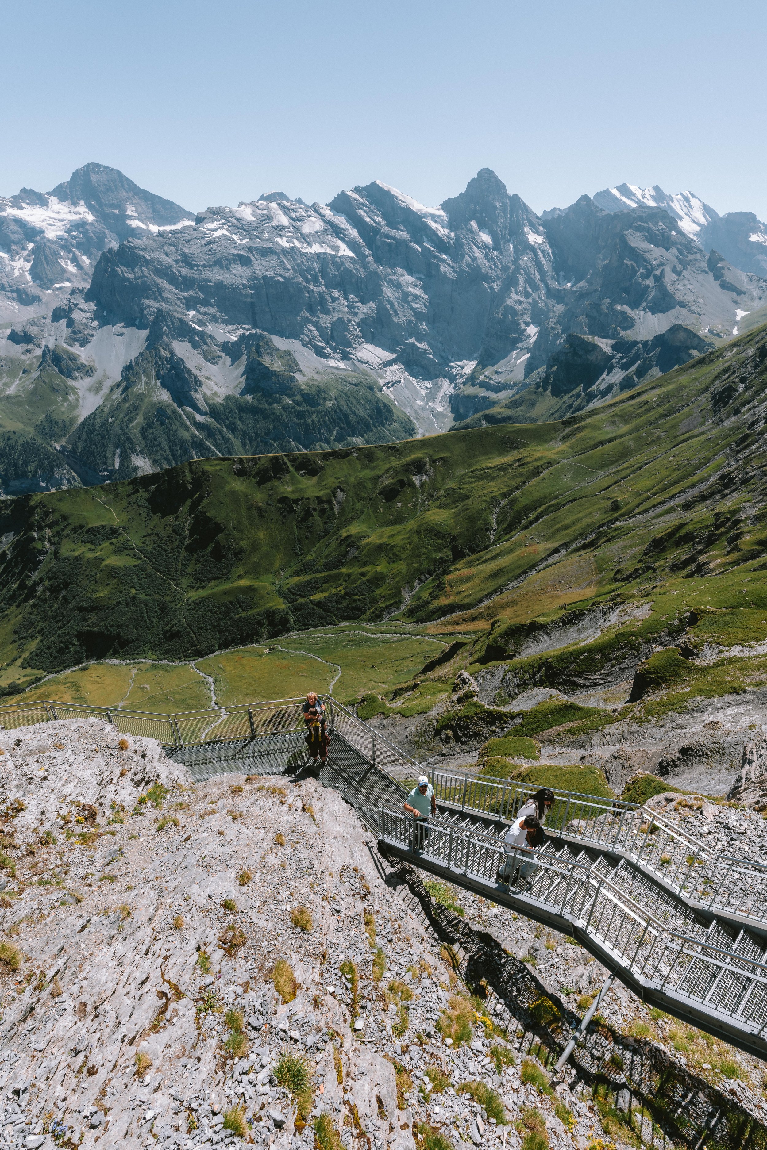 _DSC6233.jpg