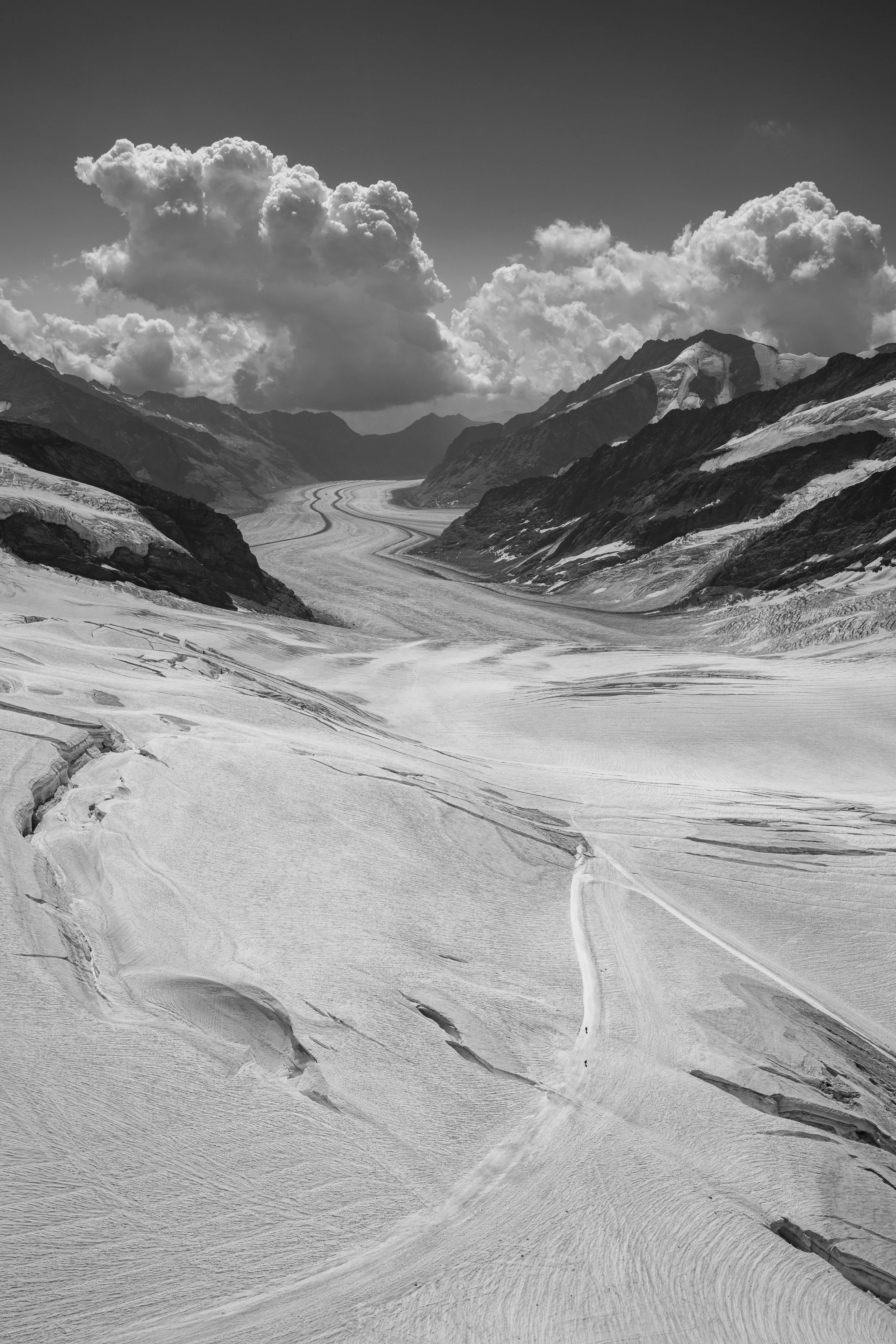 _DSC6289.jpg