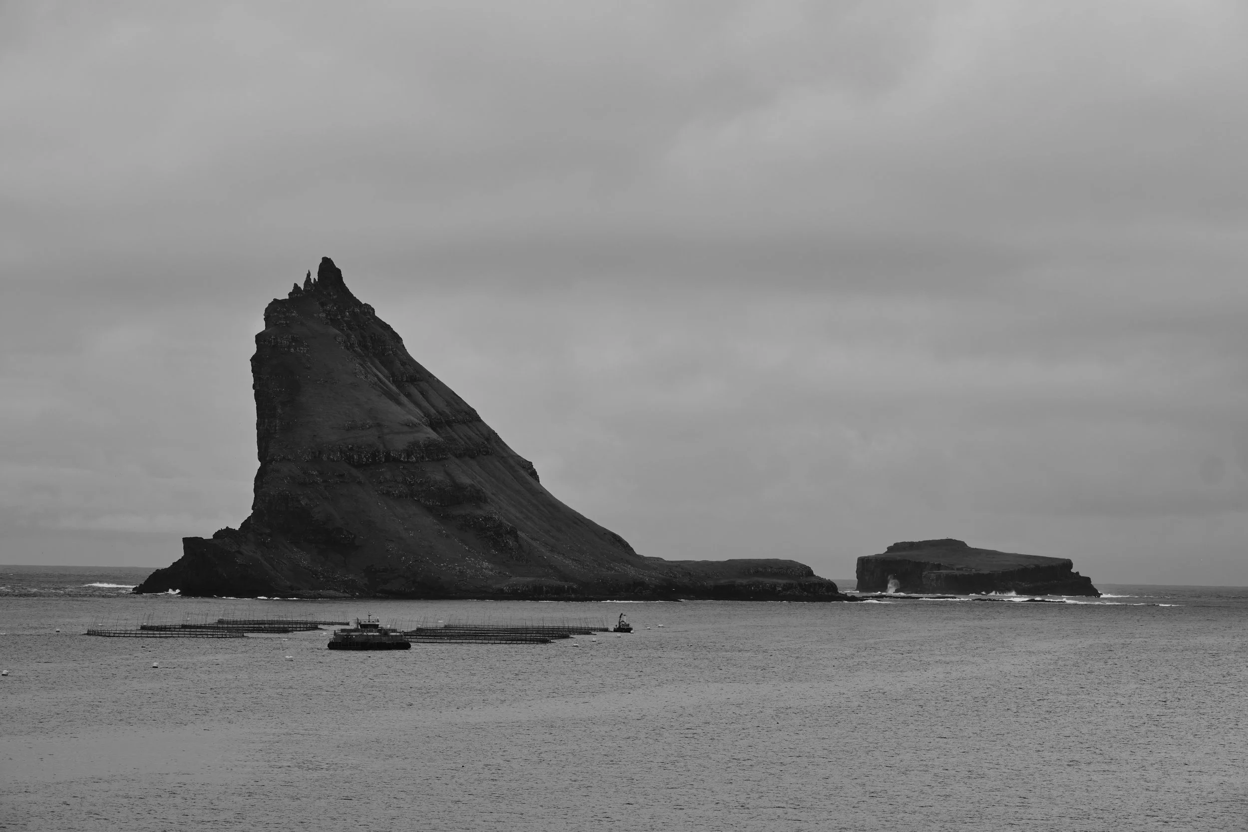 DSCF1654 Chris Schaal 2024.jpg