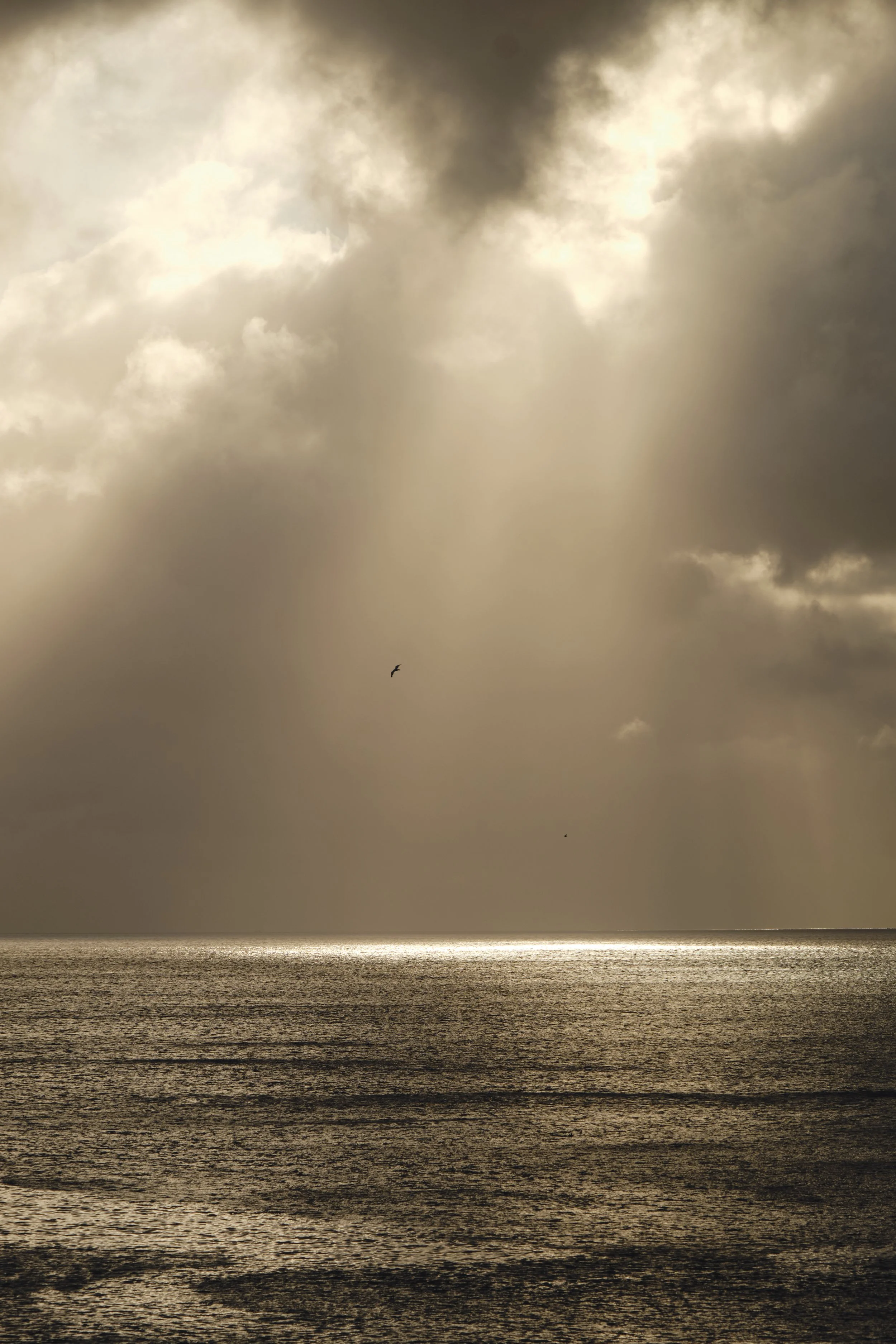 DSCF1542 Chris Schaal 2024.jpg