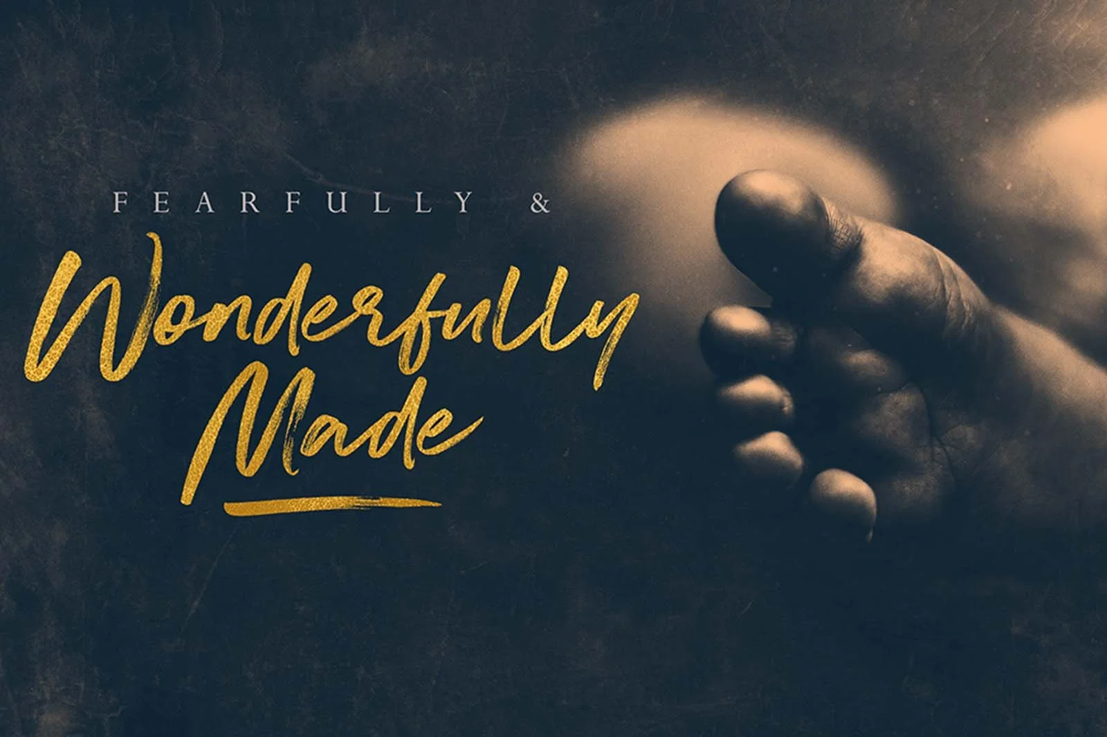 Fearfully &amp; Wonderfully Made