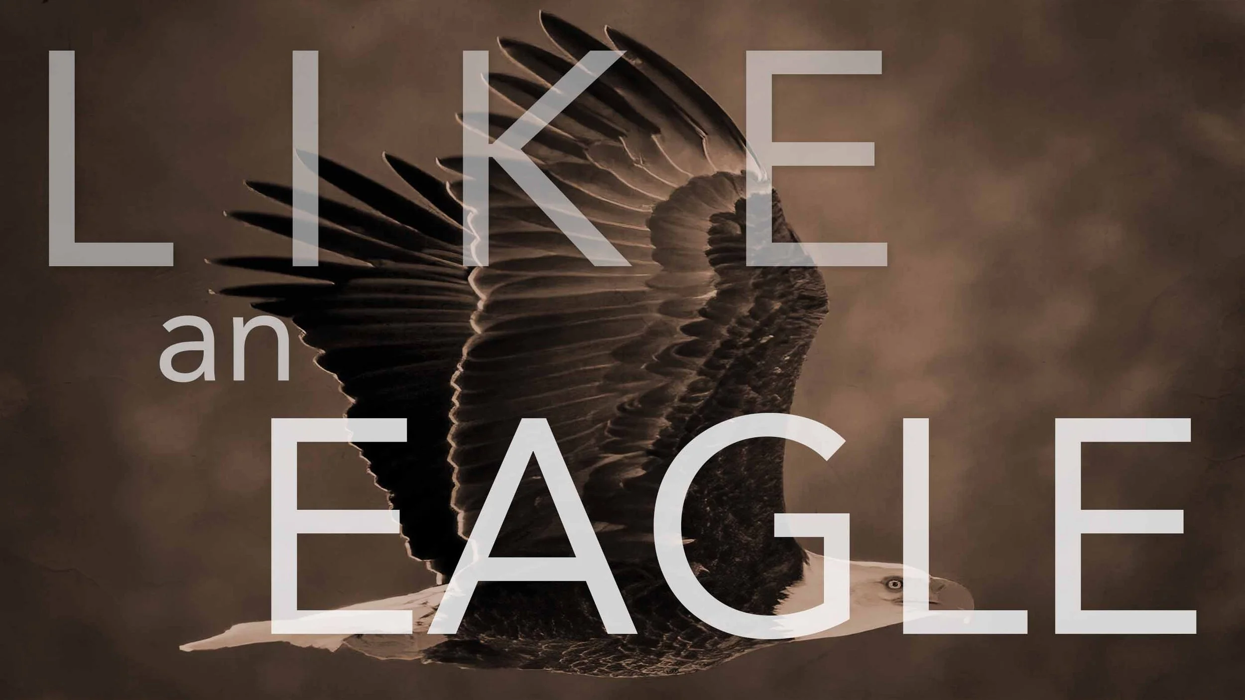 Like An Eagle