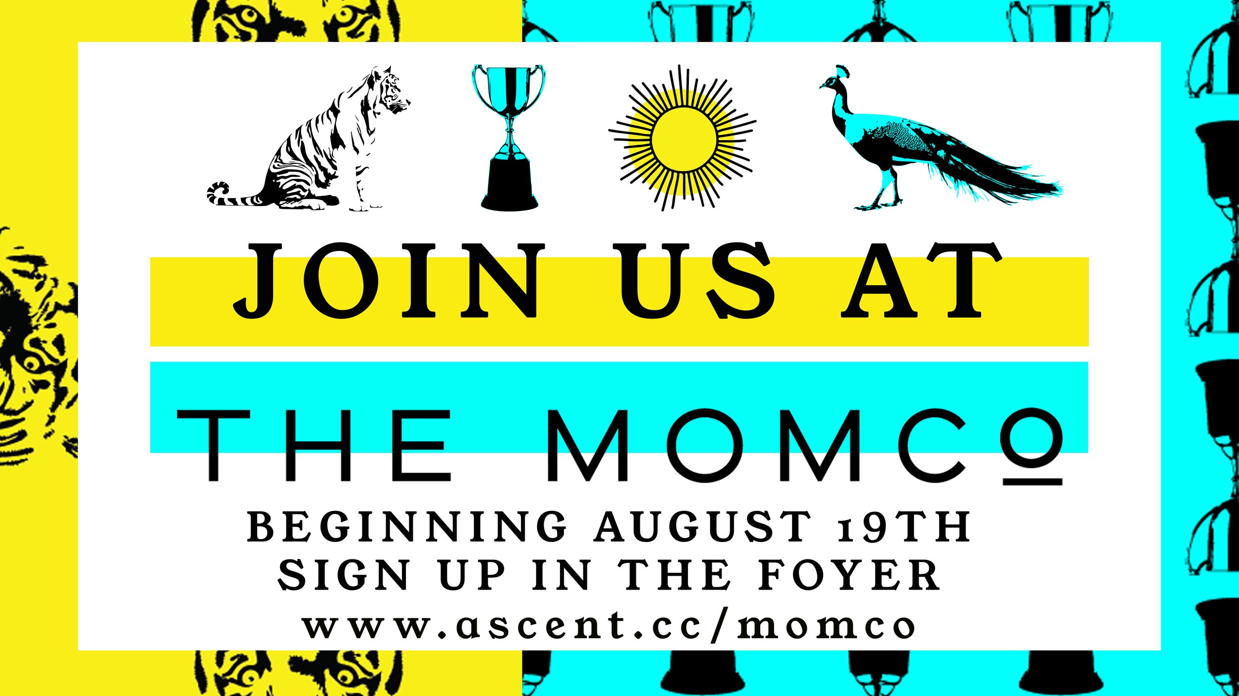 The MomCo
