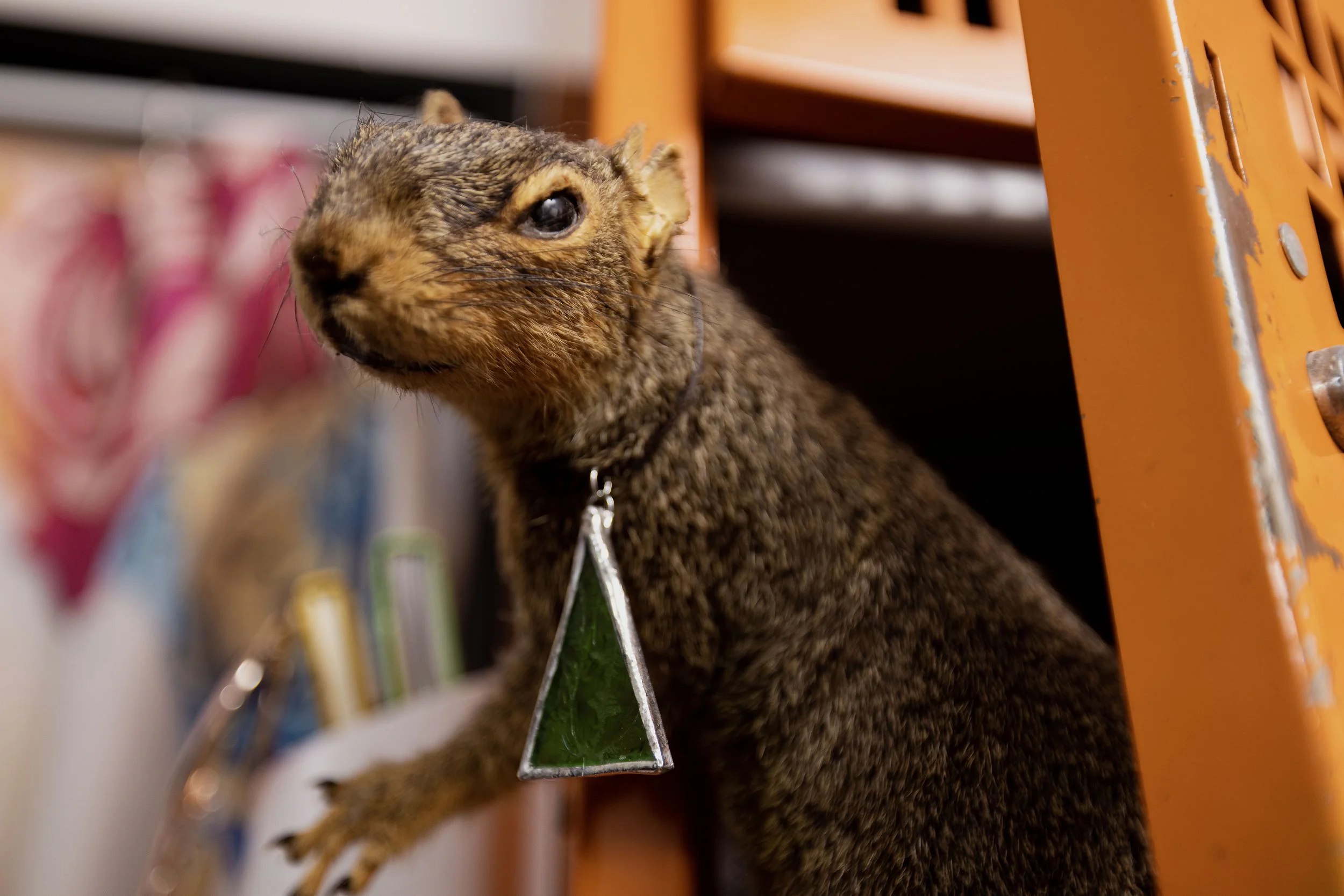 Copy of 6O9A0083.jpg