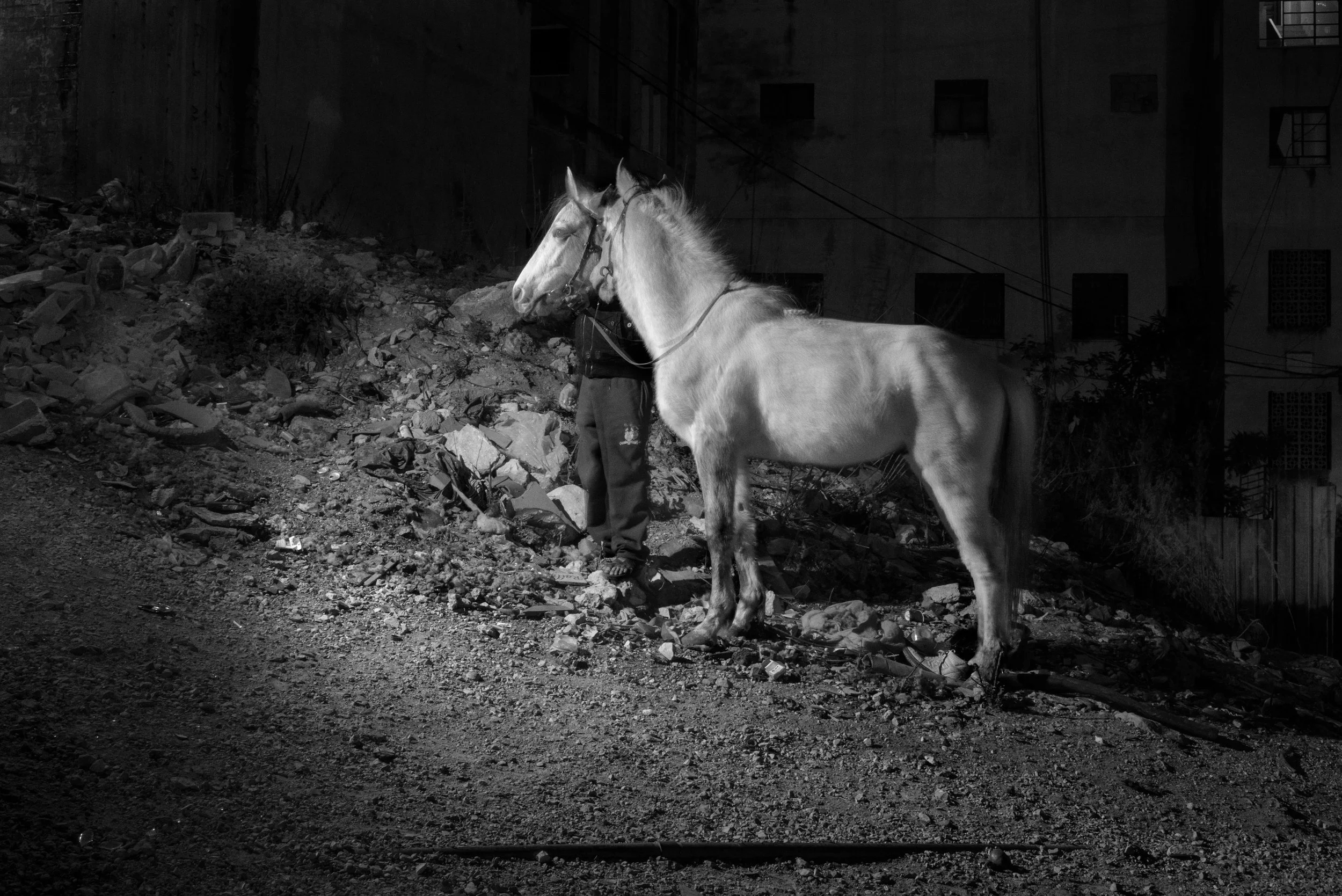 #20140128_DSC0215_2023  : Pigment Print on Baryta Paper 297 x 420 mm ☙ Limited Edition 4 + 1AP