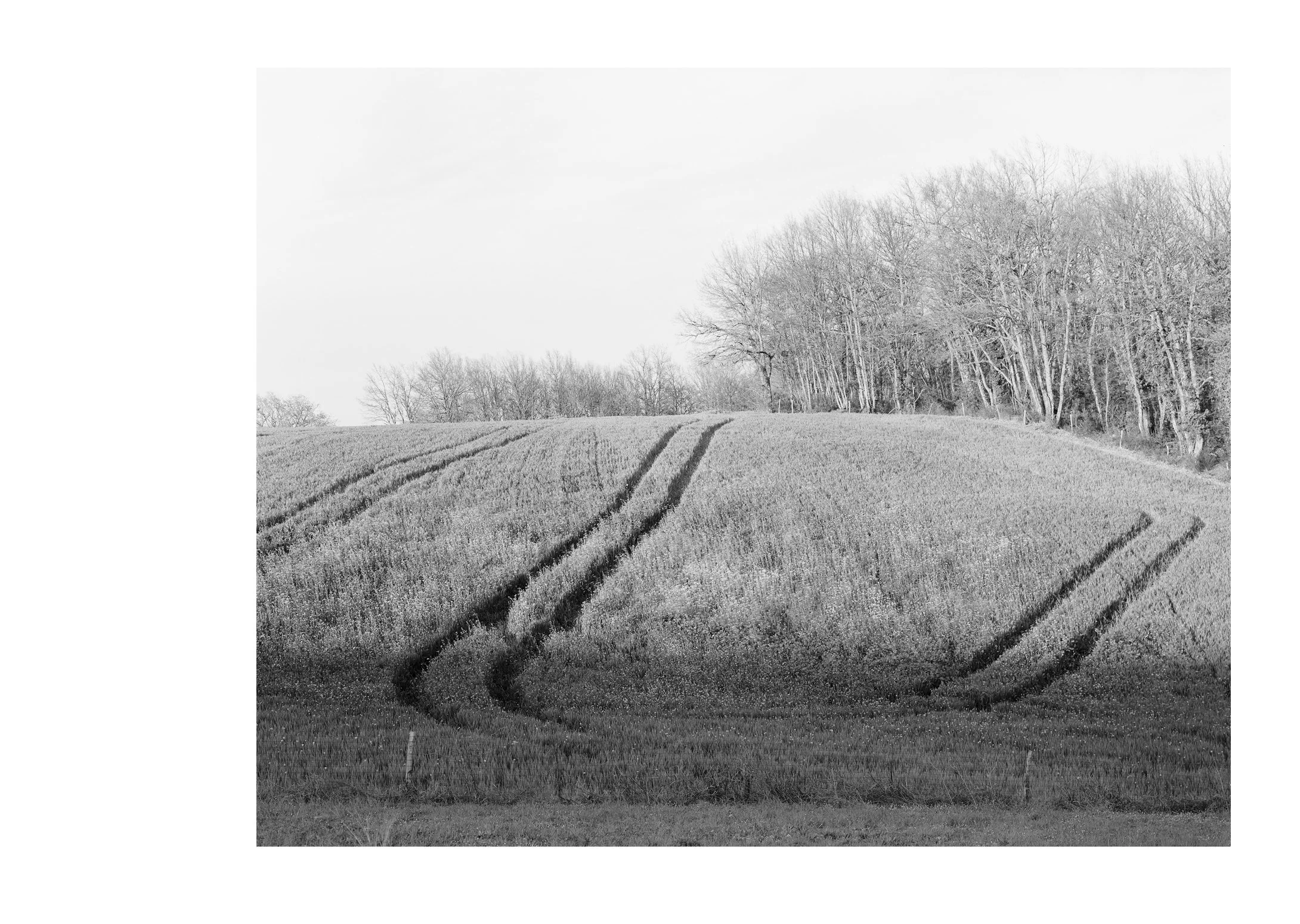 quaderno_bozza_v64_acqua_6new5.jpg