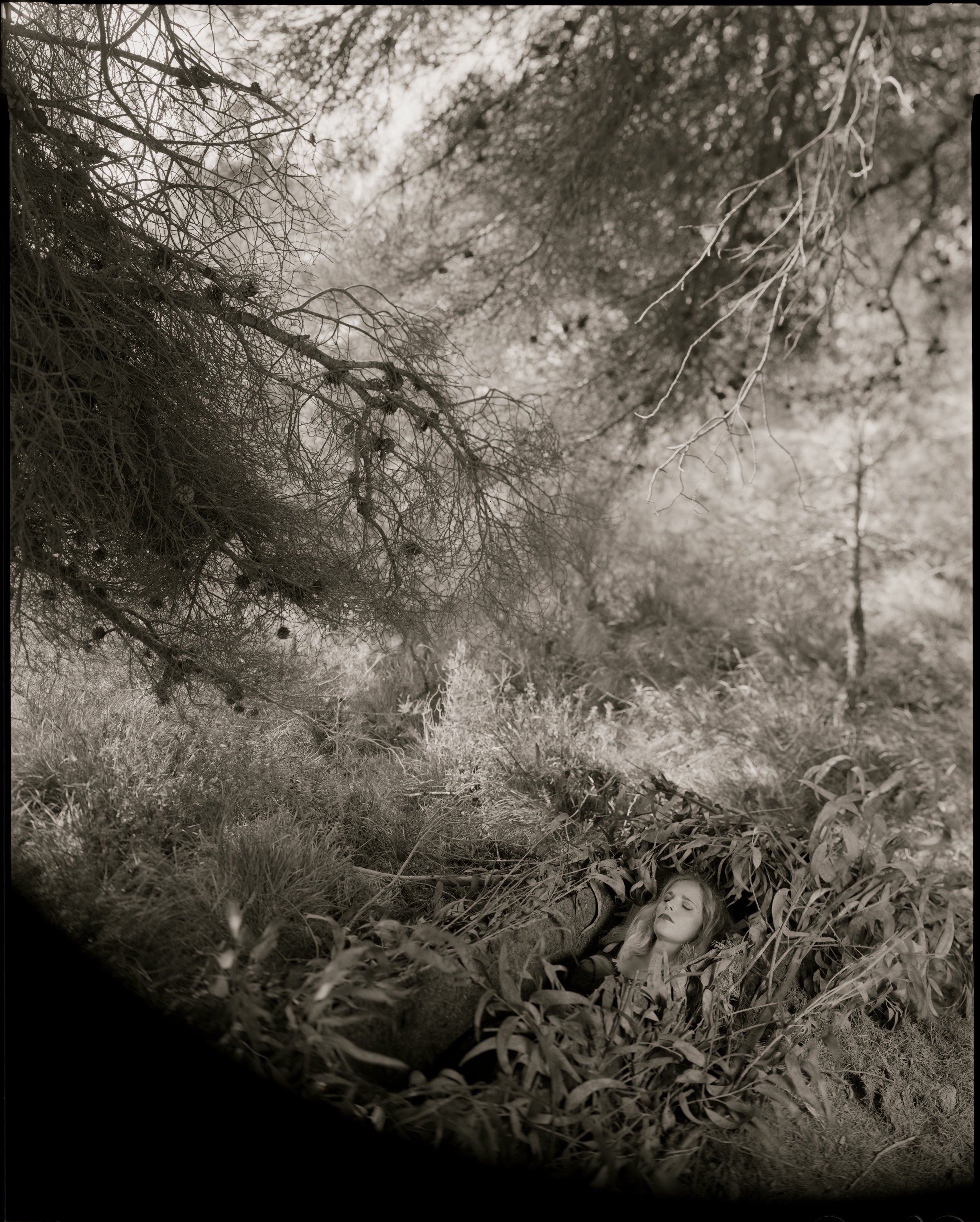 #07D2022 : 8x10" Contact Gelatin Silver Print on Baryta Paper 24x30cm ☙ Limited Edition 4 + 1AP