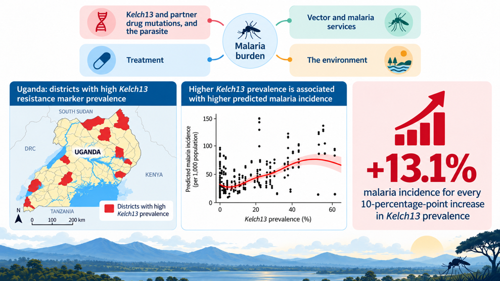 New preprint: When treatment resistance mutations spread, does the malaria burden increase?