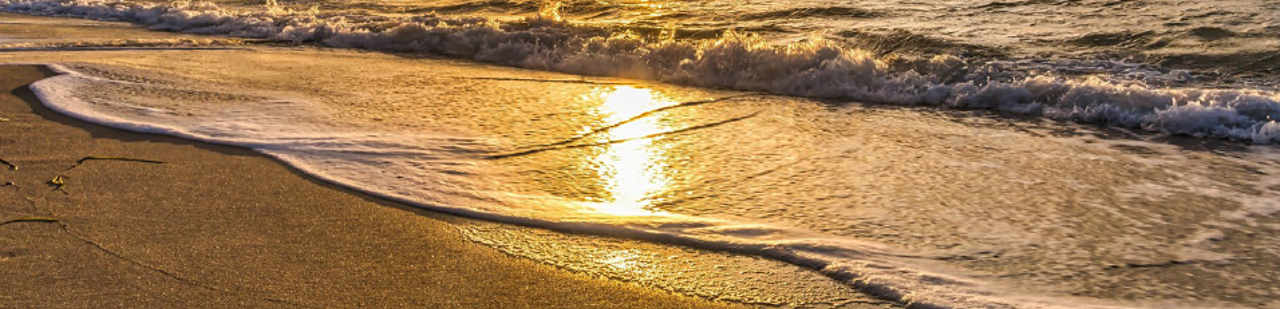 SunOnShore.png