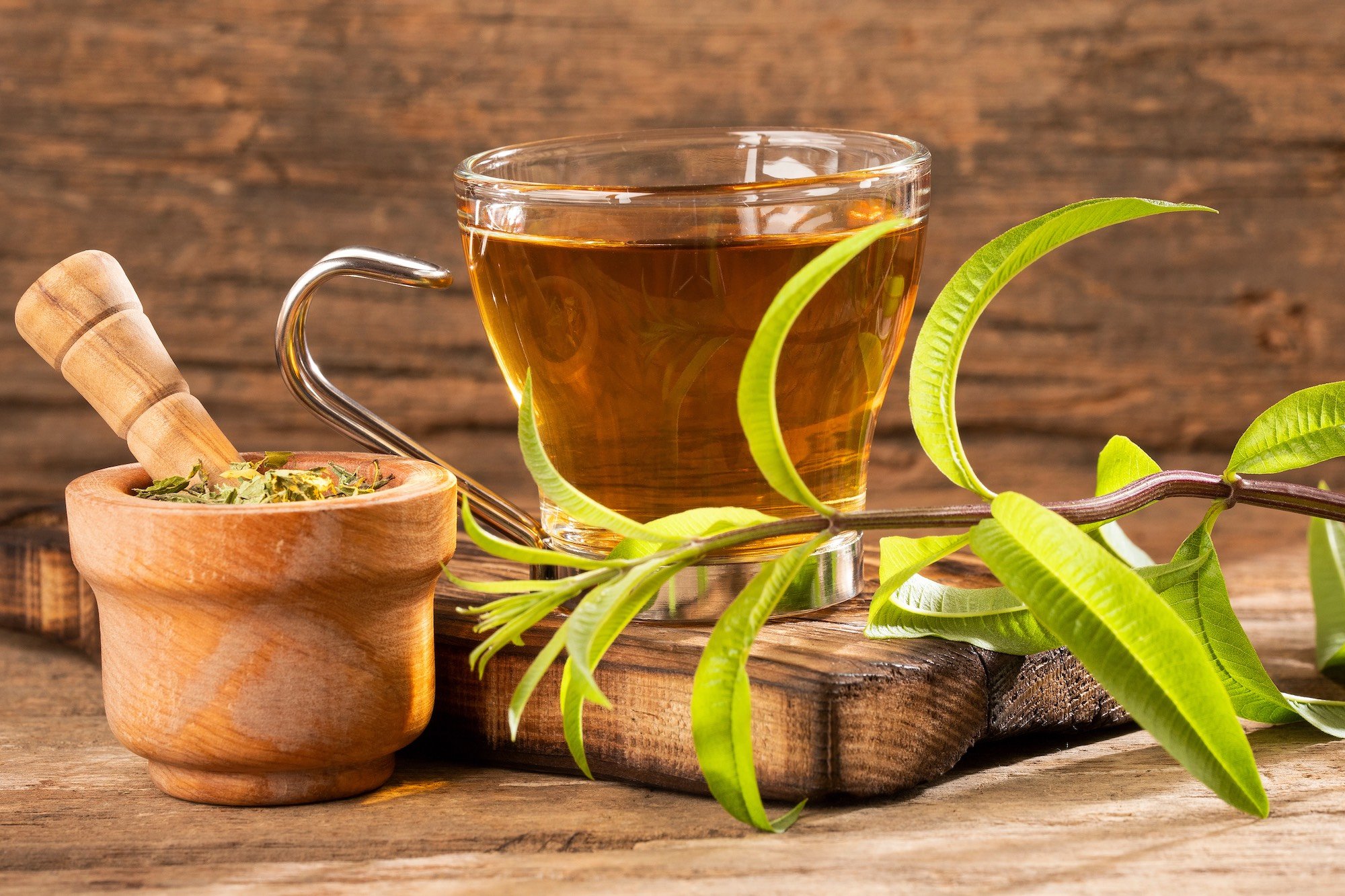 lemon-verbena-AdobeStock_285057021 copy.jpeg