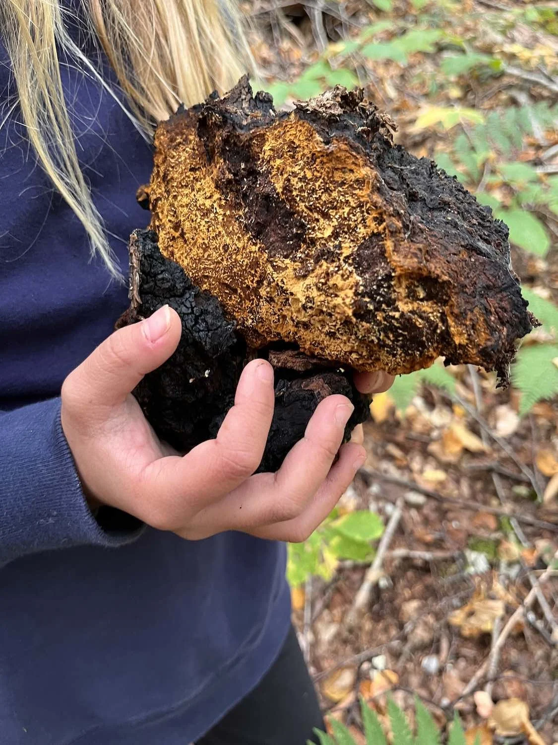 holding chaga.jpg
