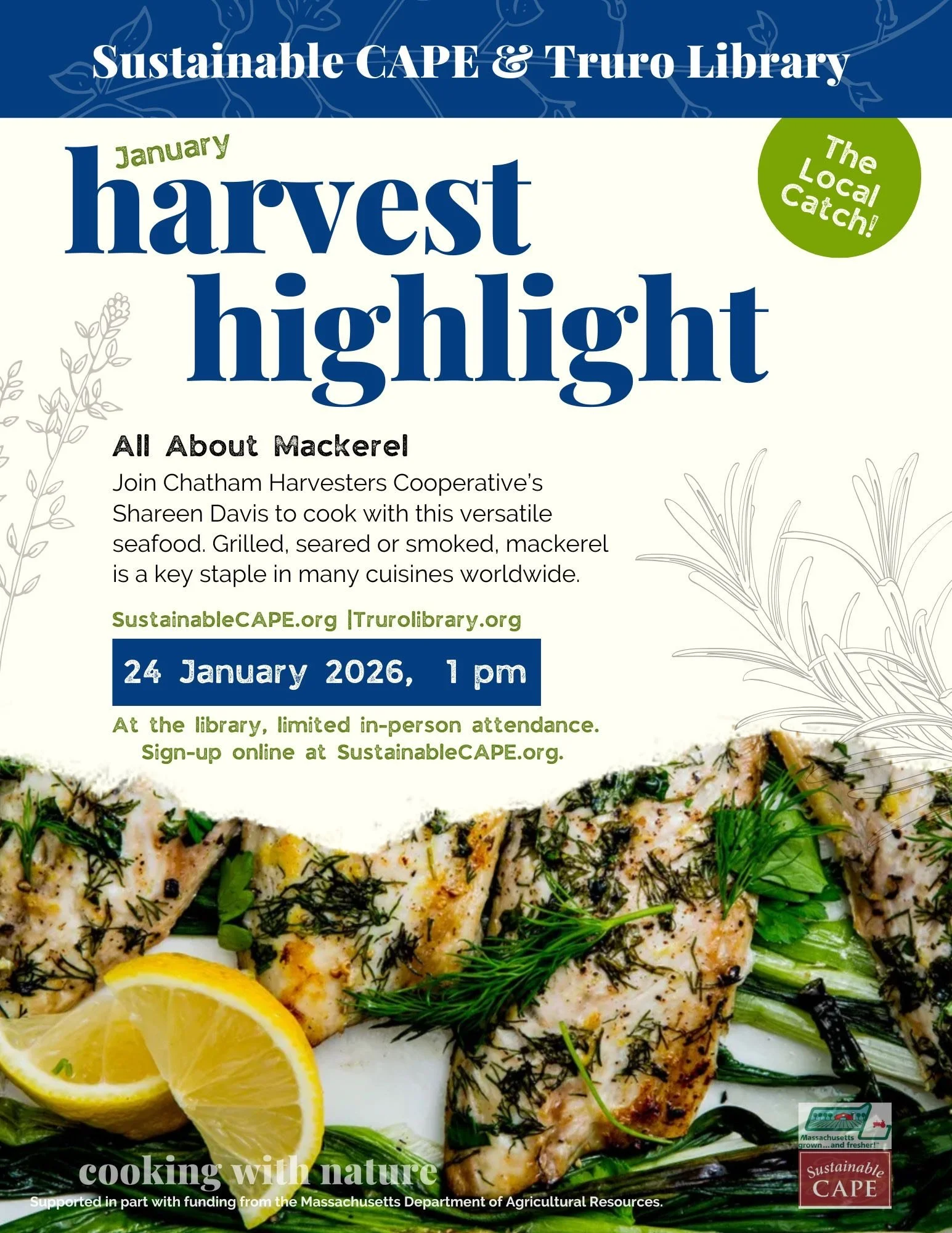 All About Mackerel Januar 24 2025