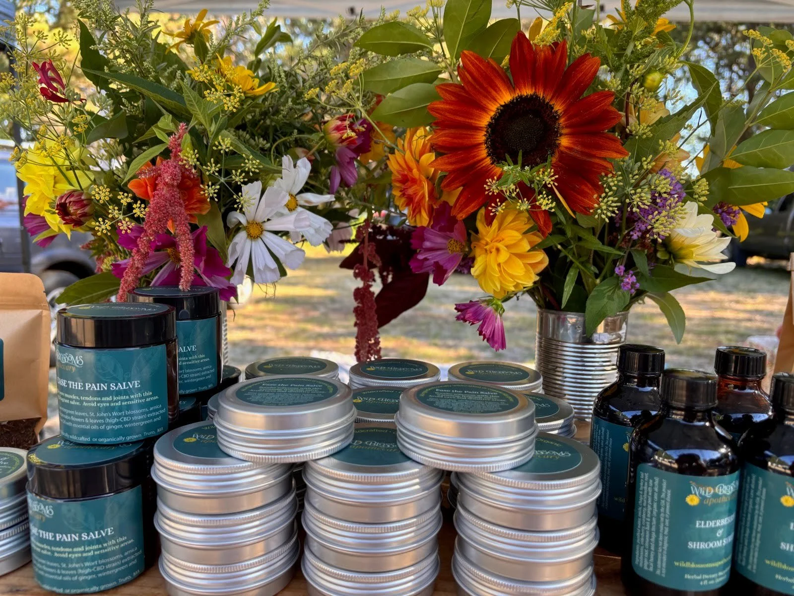 healing soothing salve3.jpeg