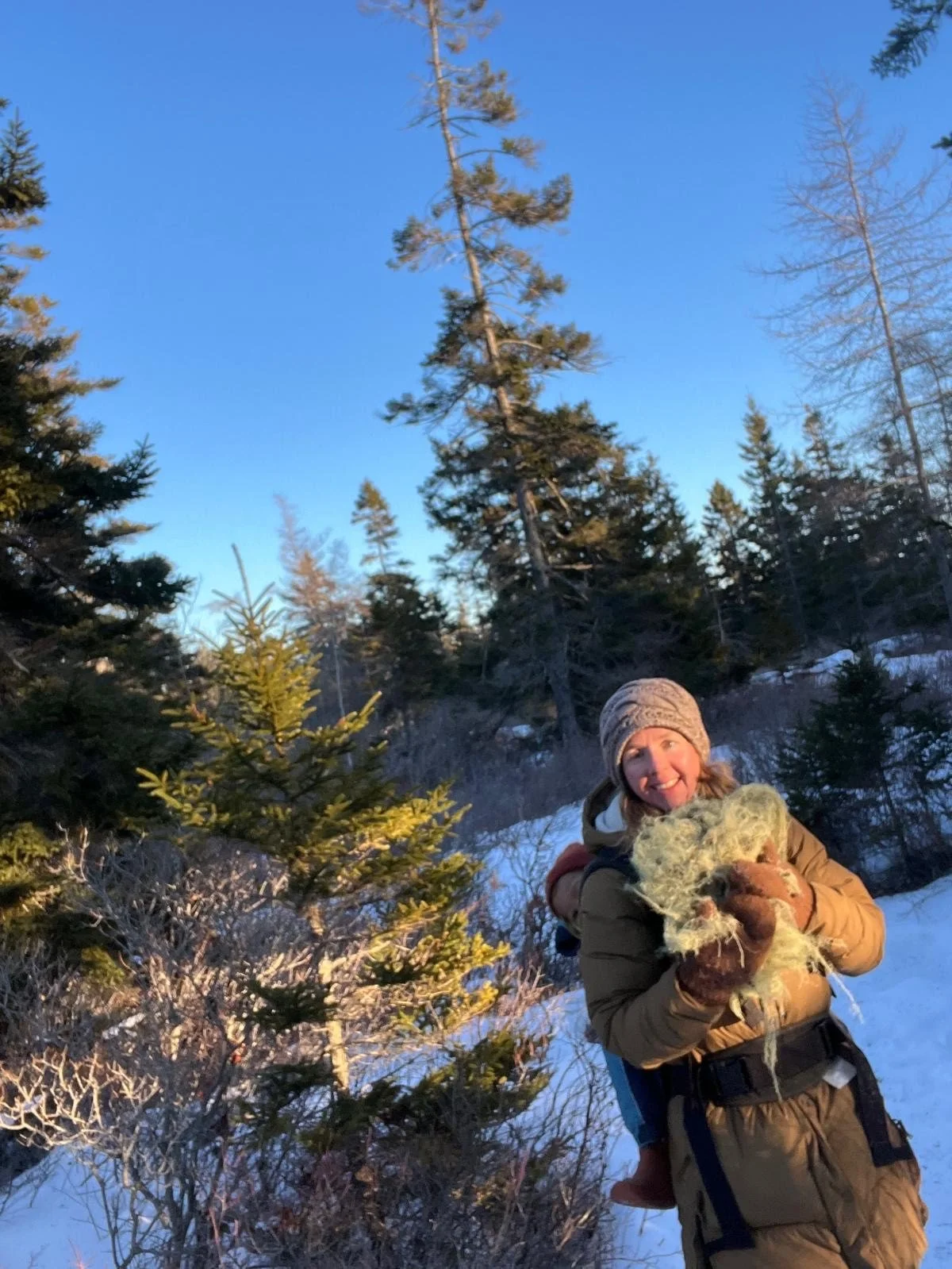 gathering usnea.jpeg