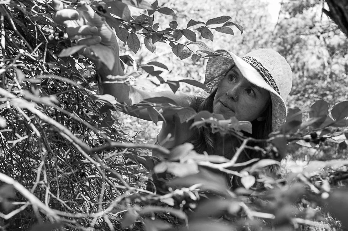 photo credit:  Edward Boches 