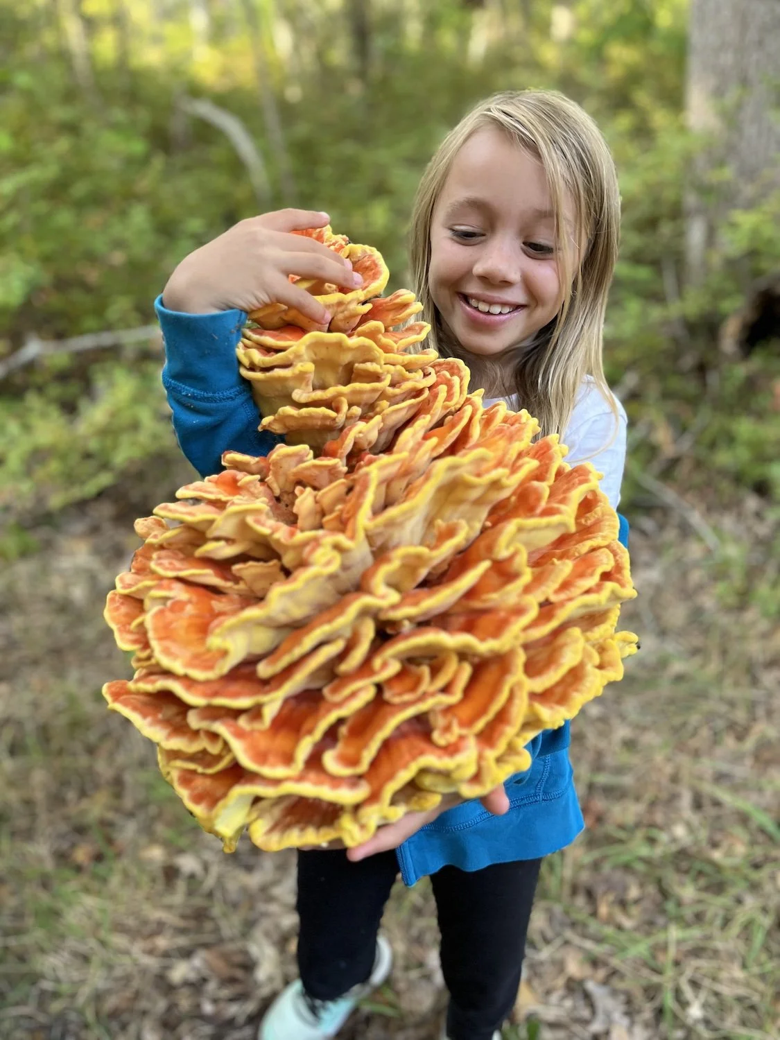mushroom2.jpg