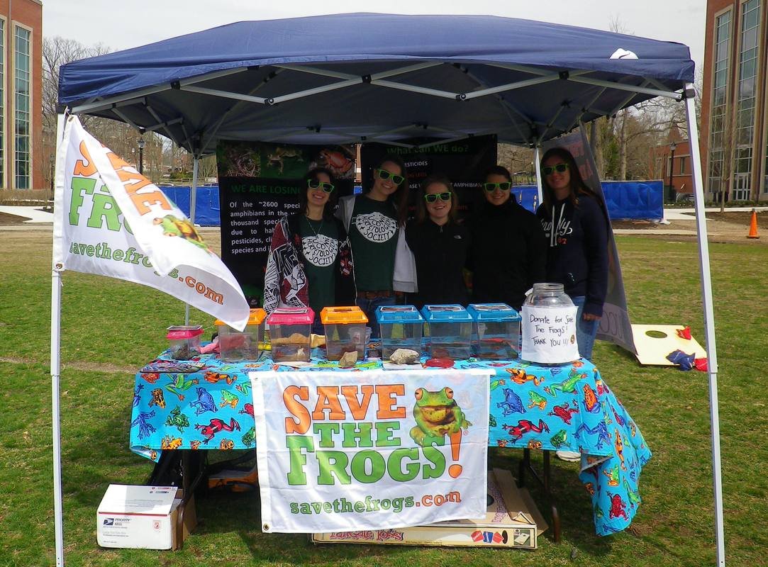 Save The Frogs Day