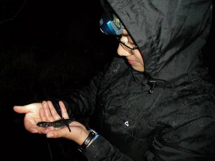 CT State BioBlitz 2016