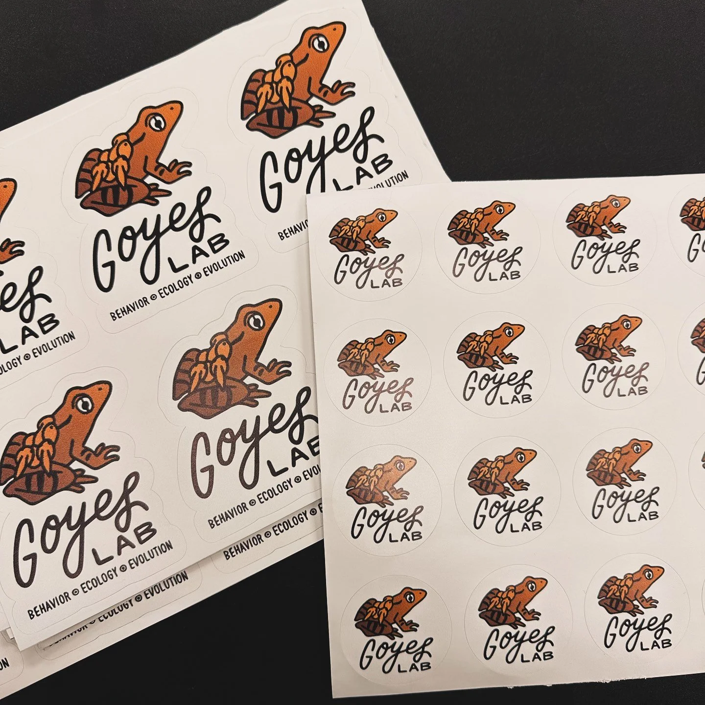 Goyes Lab Swag!!!