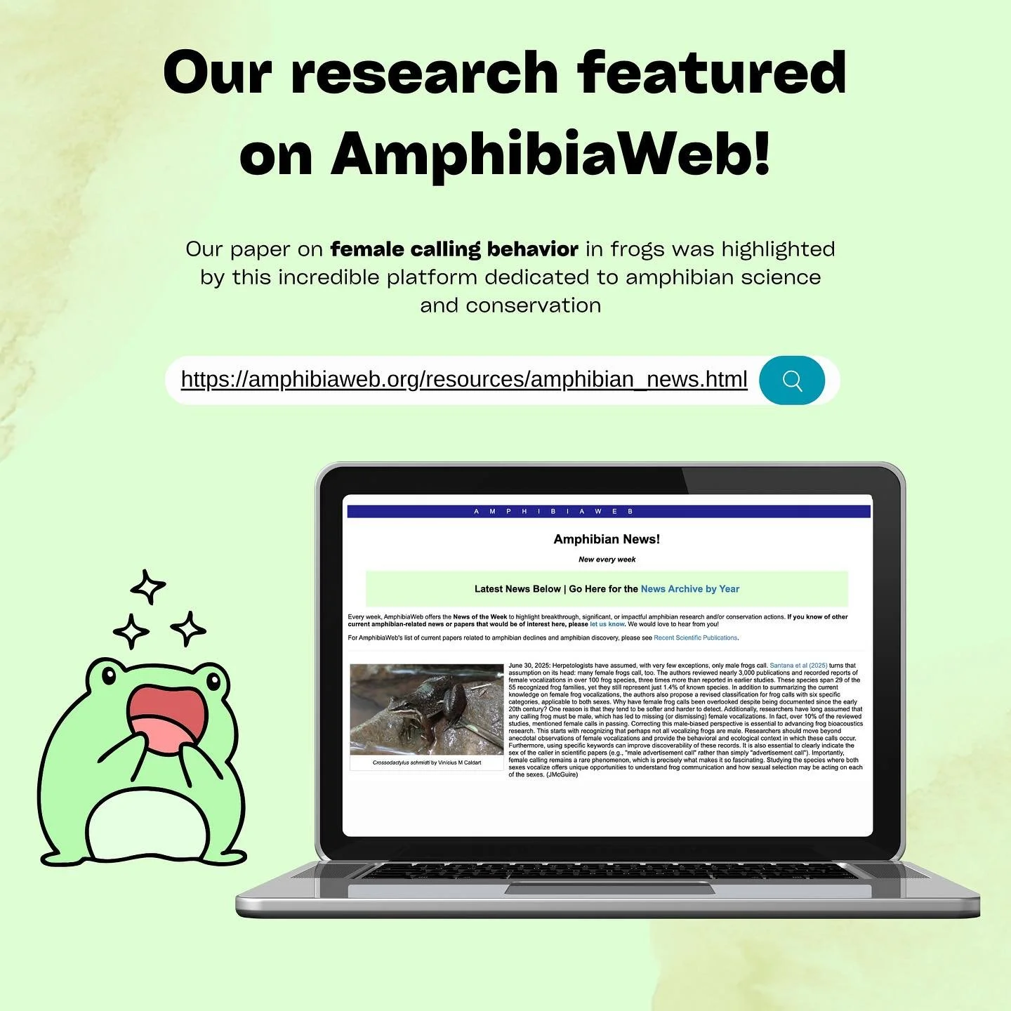 Our paper co-authored with @emskika, @angymendozah and yours truly @joanagoyes was featured in AmphibiaWeb News. Check it out at amphibiaweb.org/news!