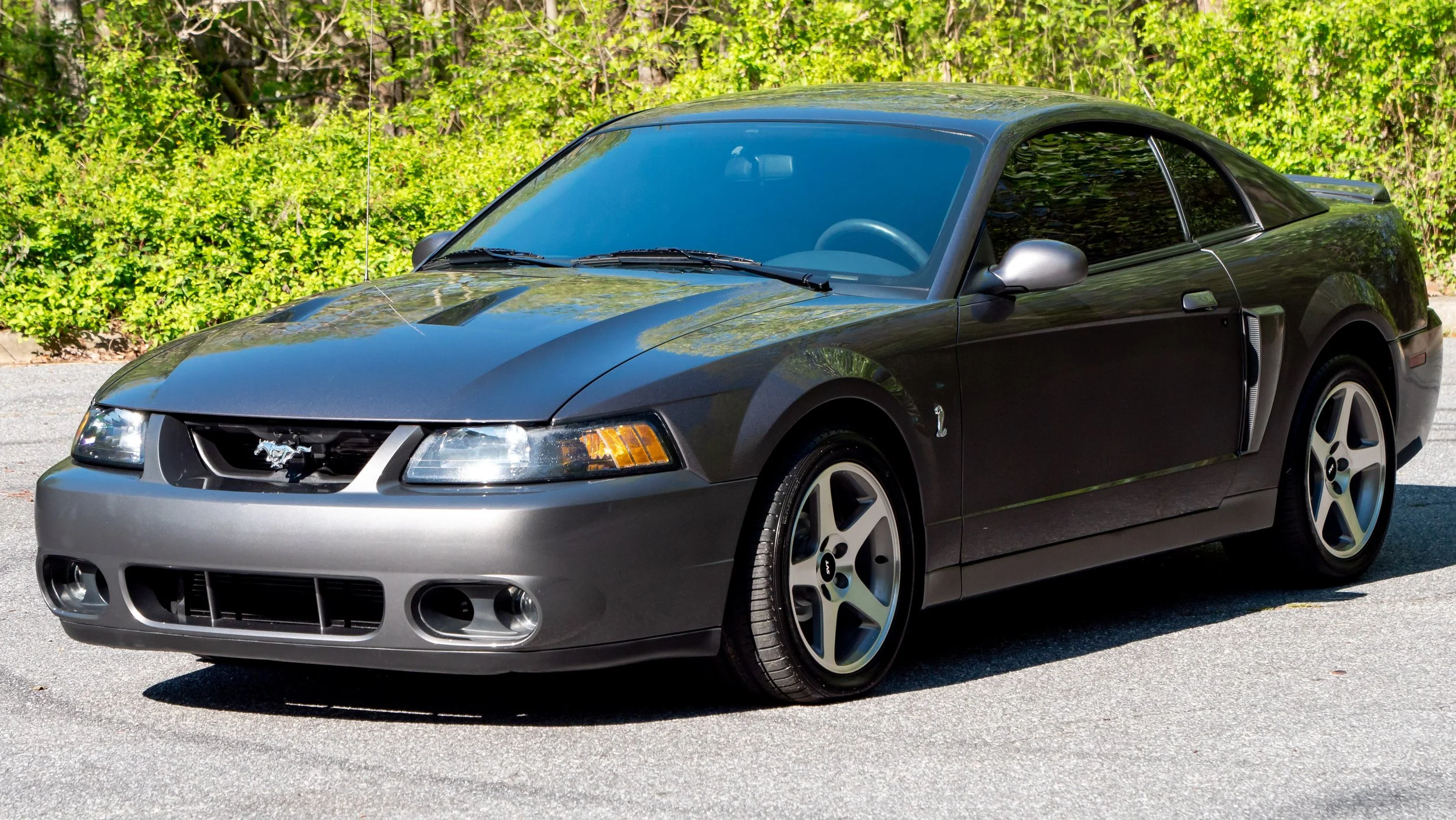 2003 Ford Cobra-1688756.JPG