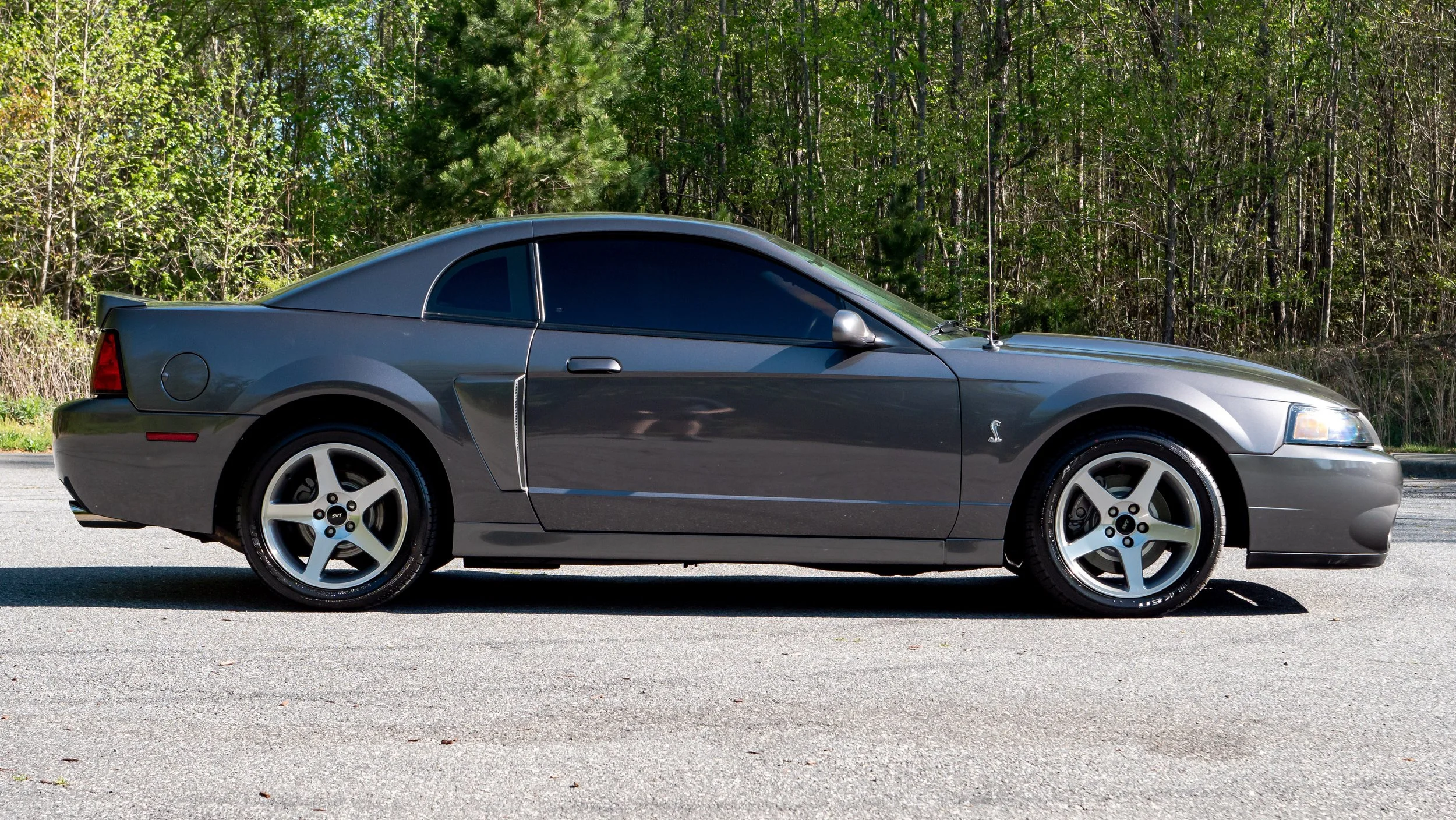 2003 Ford Cobra-1688762.JPG