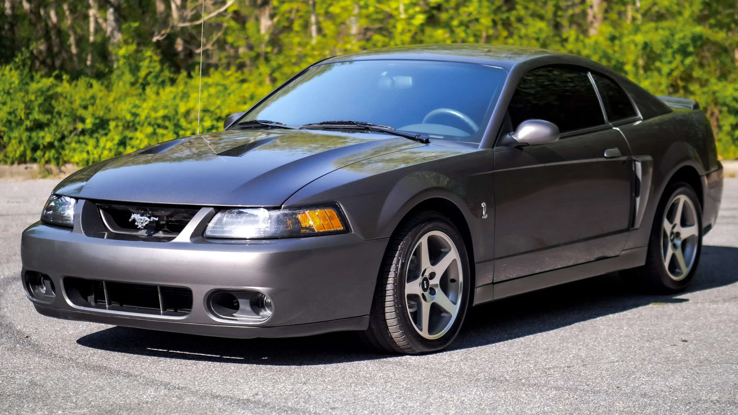 2003 Ford Mustang SVT Cobra