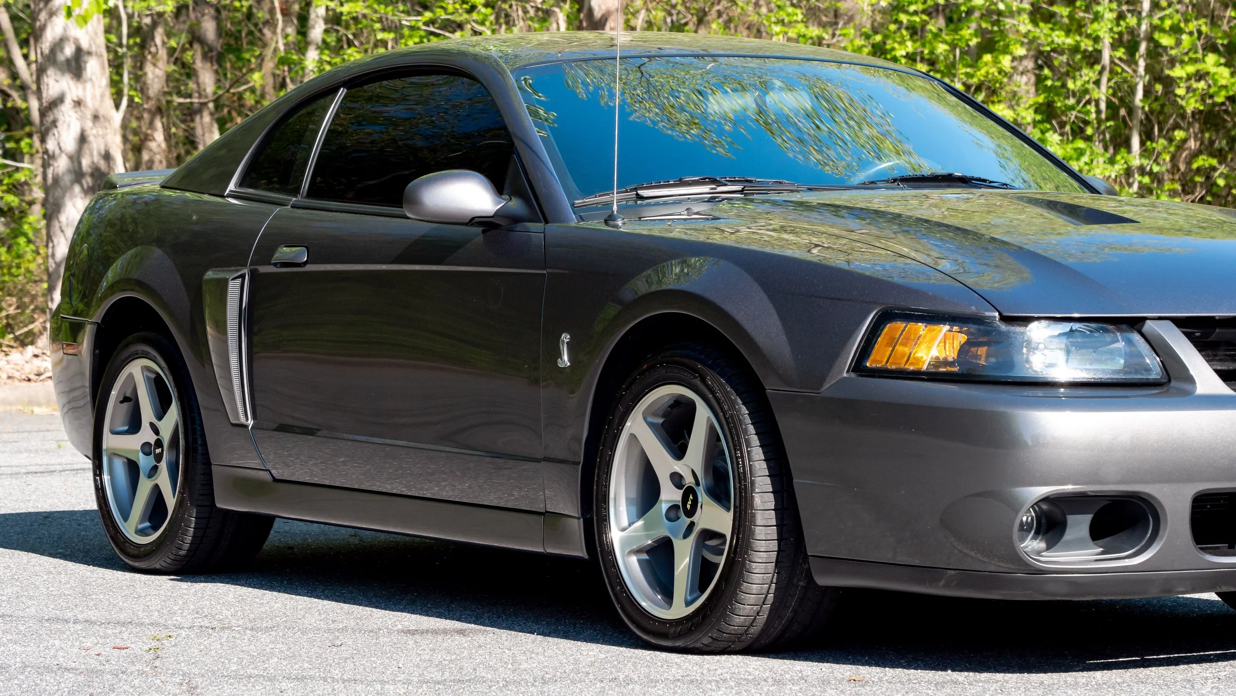 2003 Ford Cobra-1688764.JPG