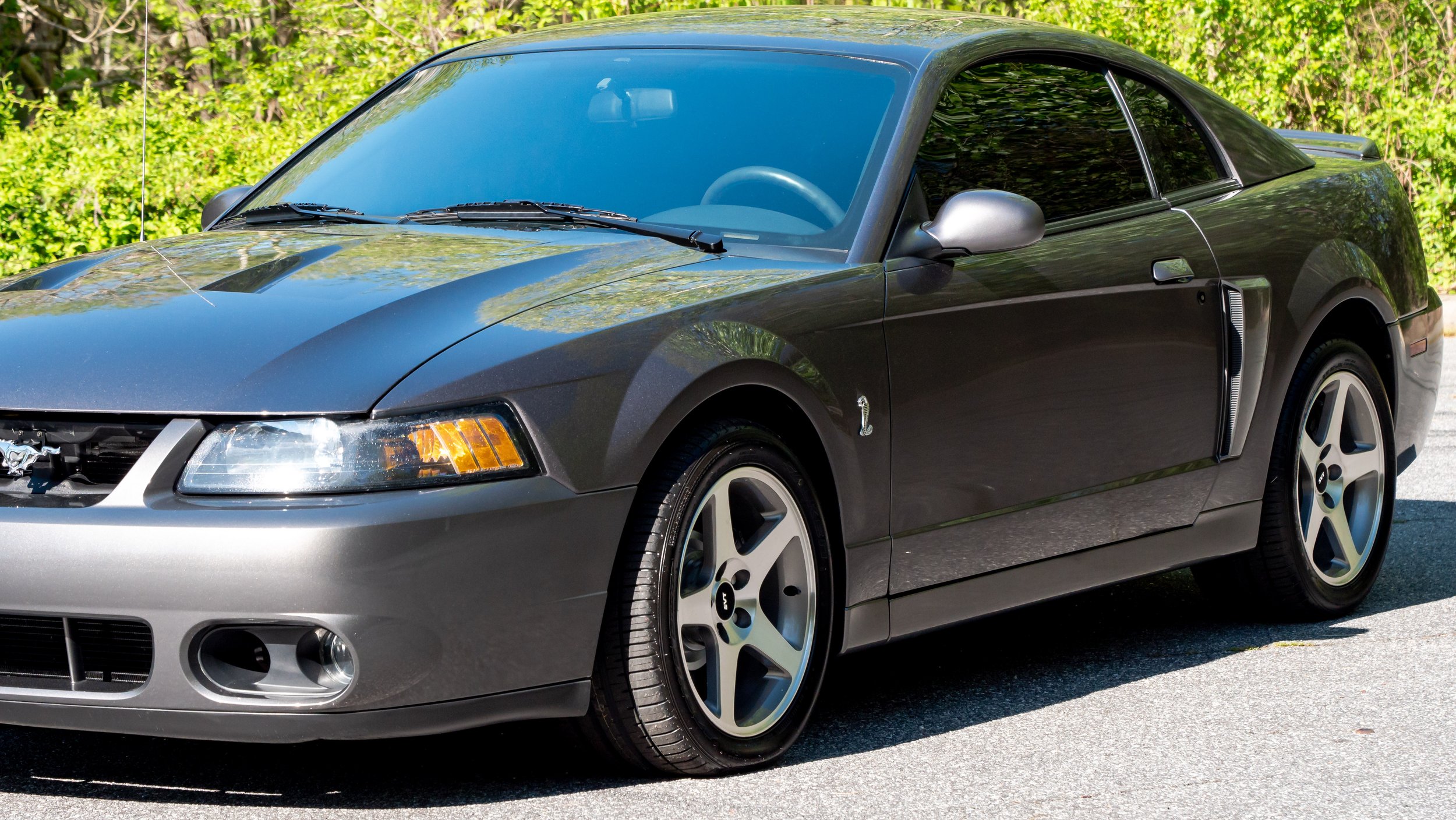 2003 Ford Cobra-1688757.JPG