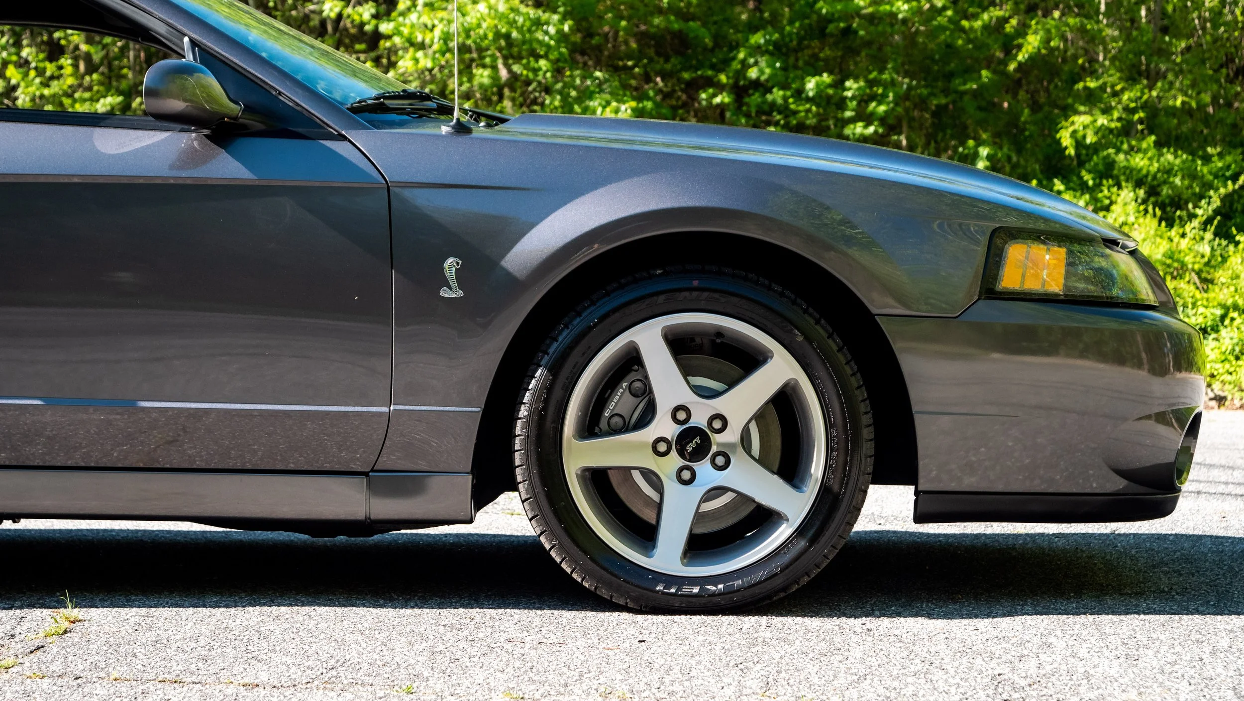 2003 Ford Cobra-1688746.JPG