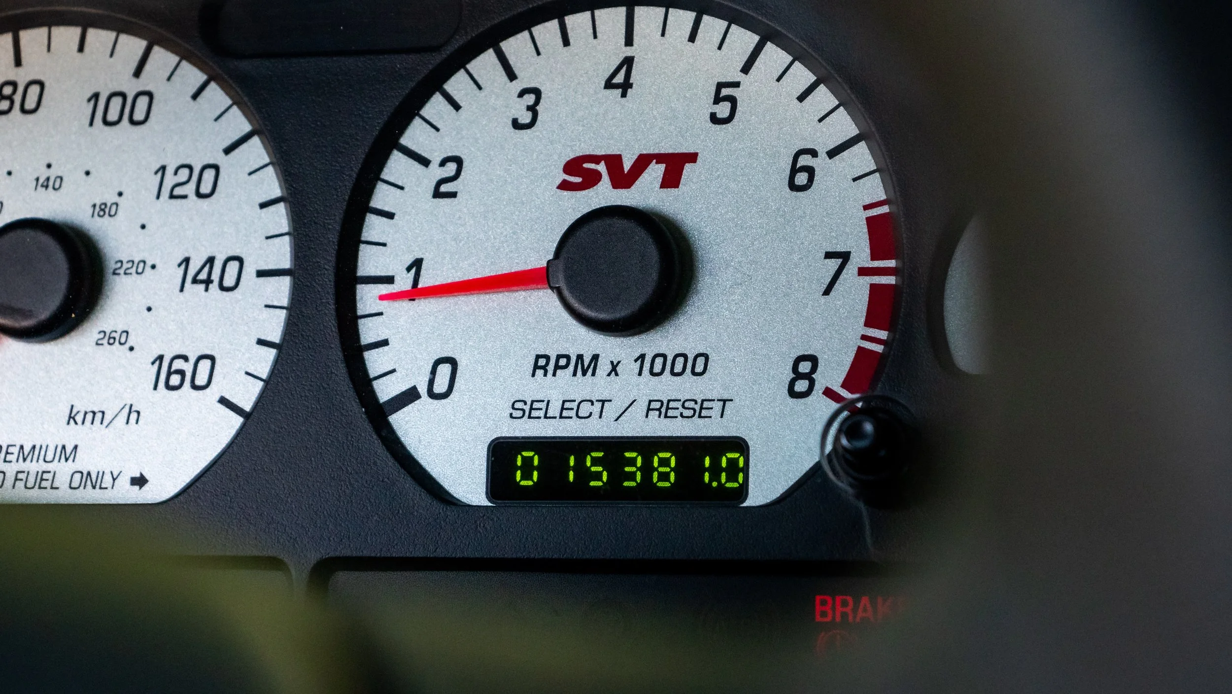 2003 Ford Cobra-1688721.JPG