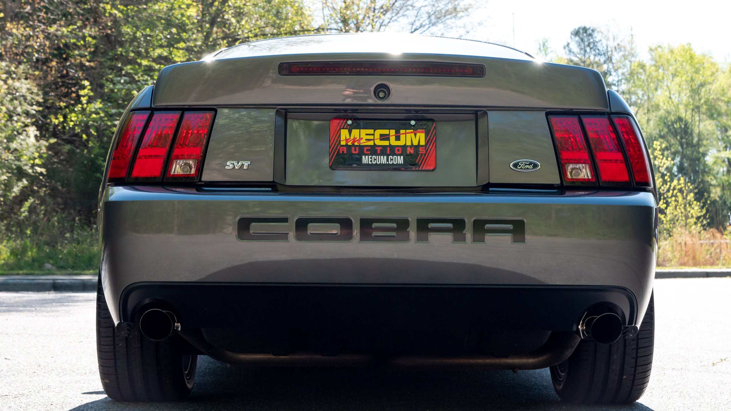 2003 Ford Cobra-1688760.JPG