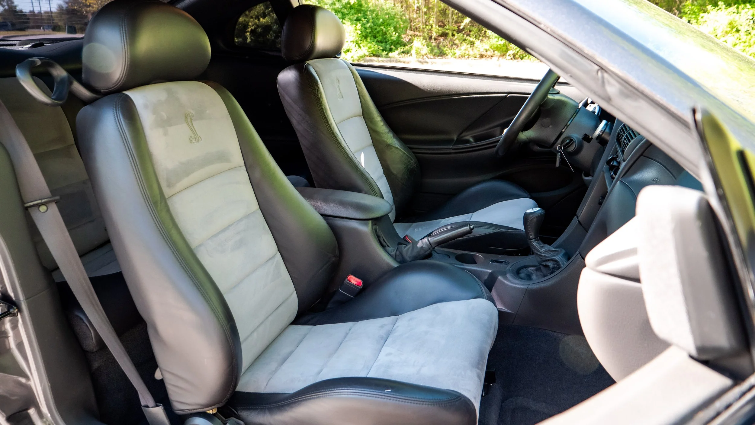 2003 Ford Cobra-1688738.JPG