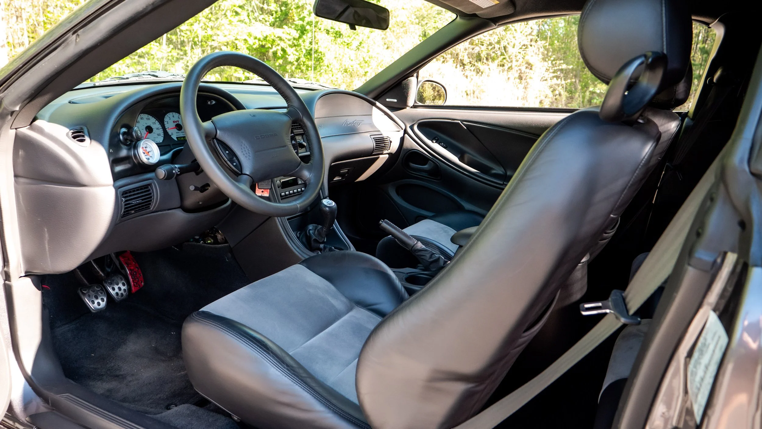 2003 Ford Cobra-1688730.JPG