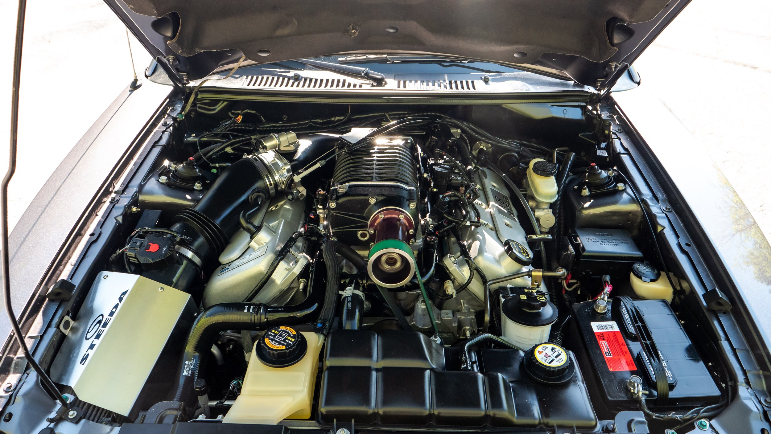 2003 Ford Cobra-1688749.JPG